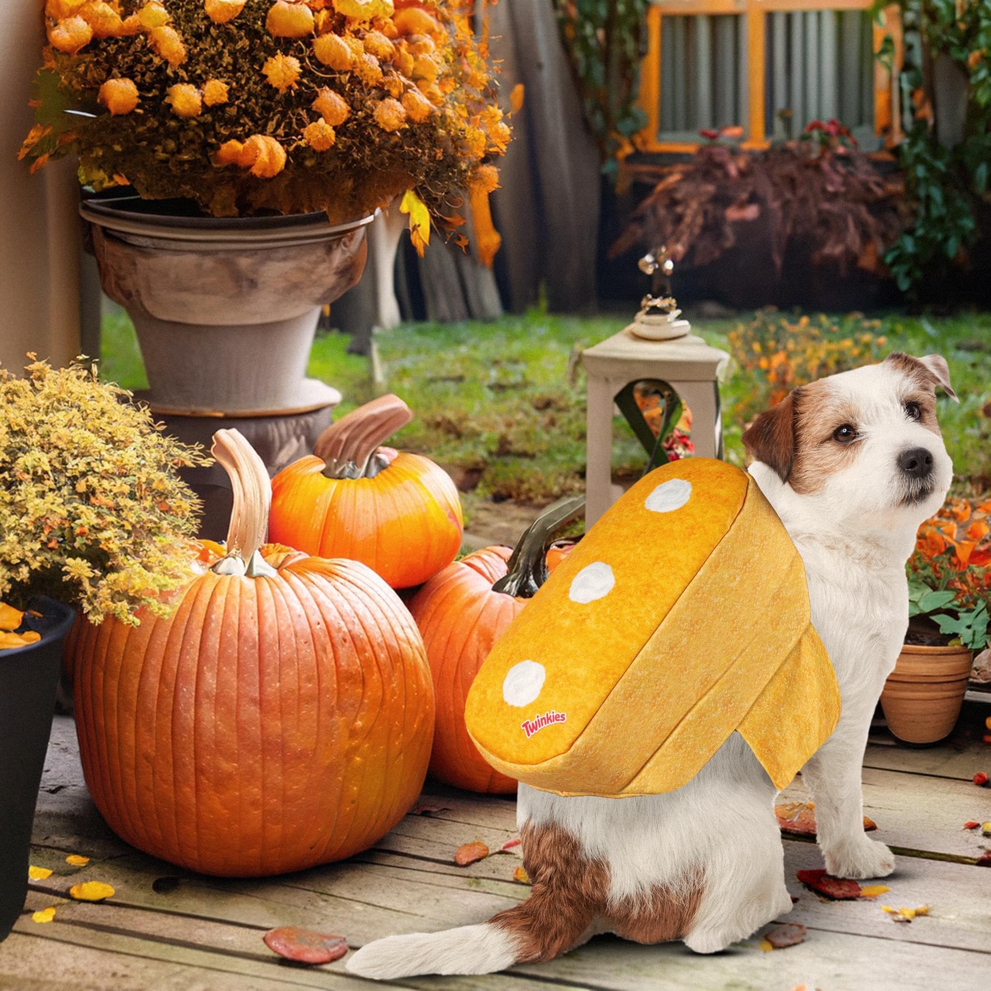Rubie's Twinkie Pet Costume - Large/X-Large, As Shown, Model 203152