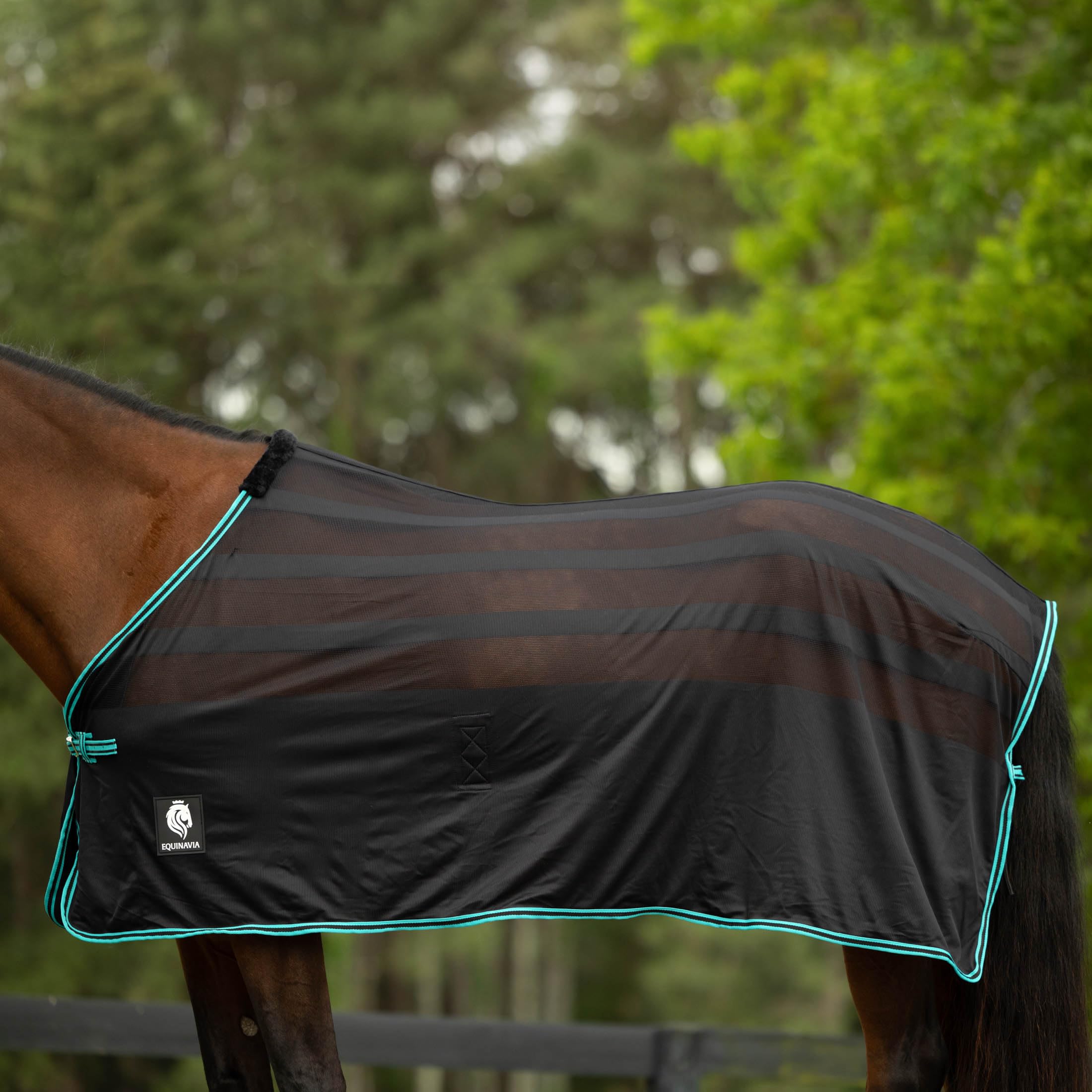 Equinavia Sefyr Breathable Lightweight Cooling Scrim Sheet - Black/Turquoise - S