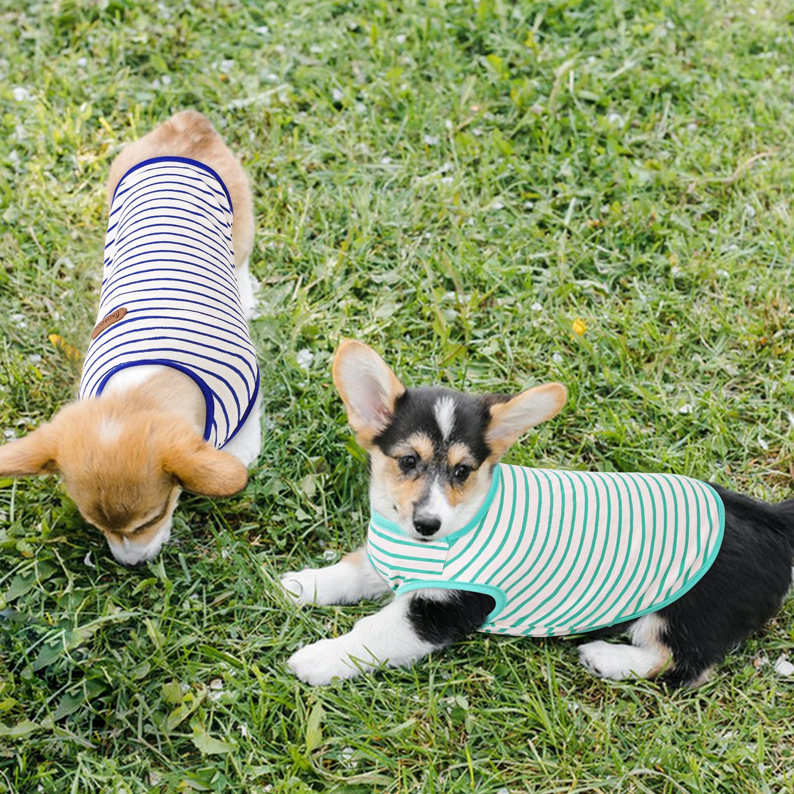 Preferhouse Dog Shirts For Small Dogs 2 Pack, S Dog Sleeveless Striped Vests Dog Pullover T-Shirts Lightweight Puppy Kitten Tank