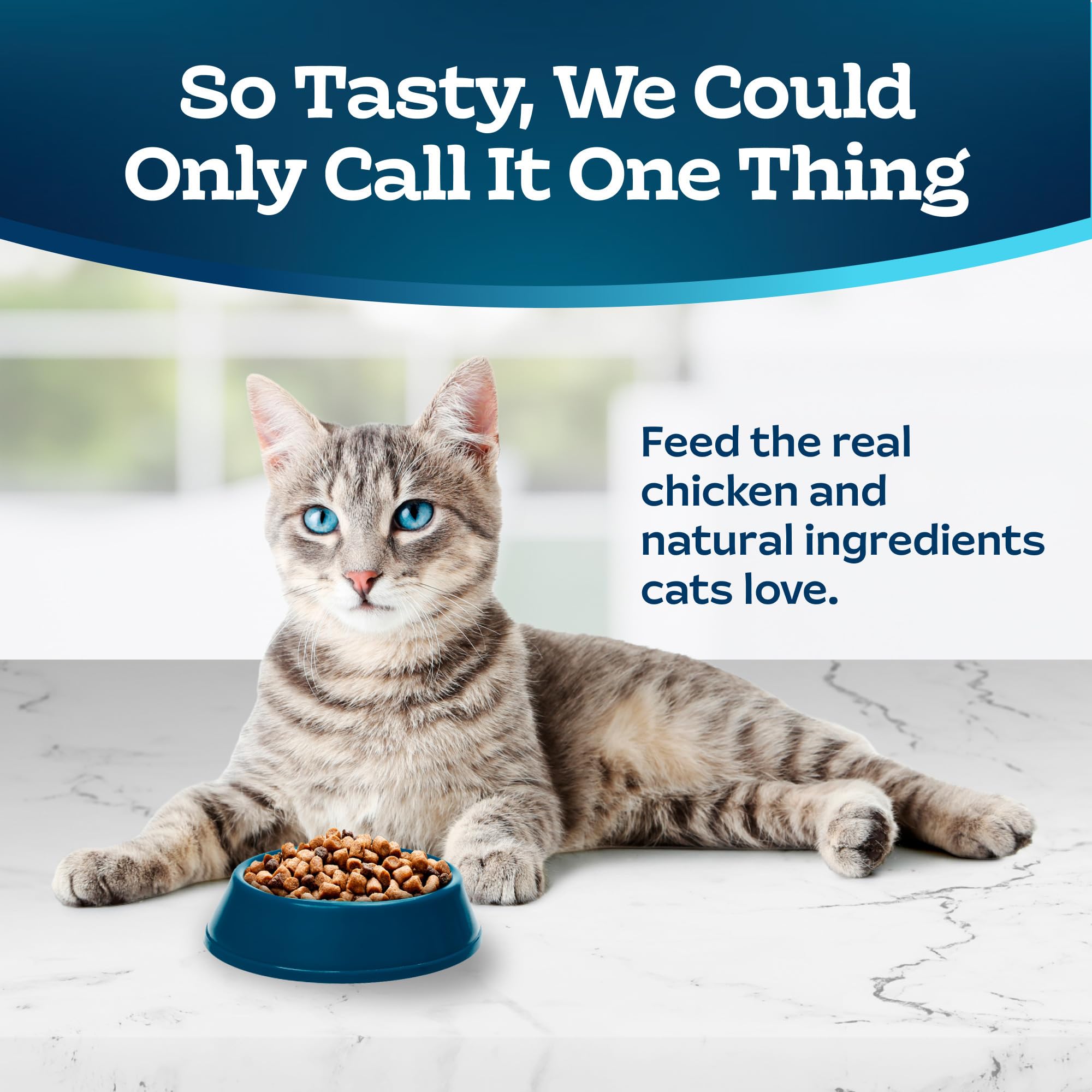 Blue Buffalo Tastefuls Indoor Natural Adult Dry Cat Food, Chicken 3lb bag
