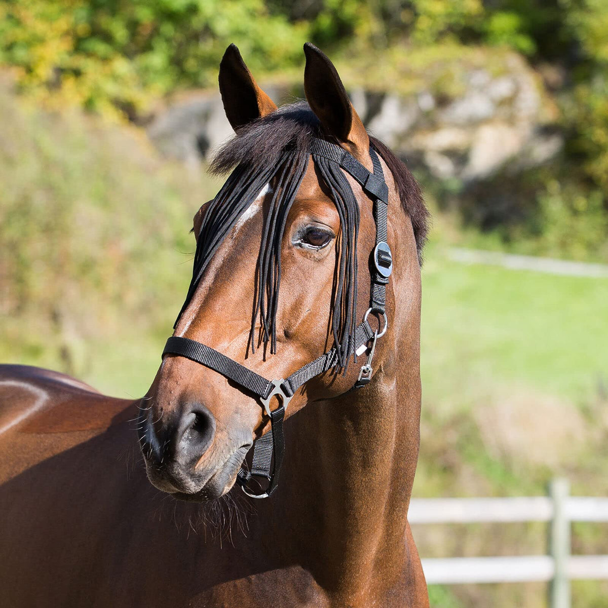 HORZE Lightweight Nylon Fringe Fly Veil - Easily Attaches to Halter - Black - Horse