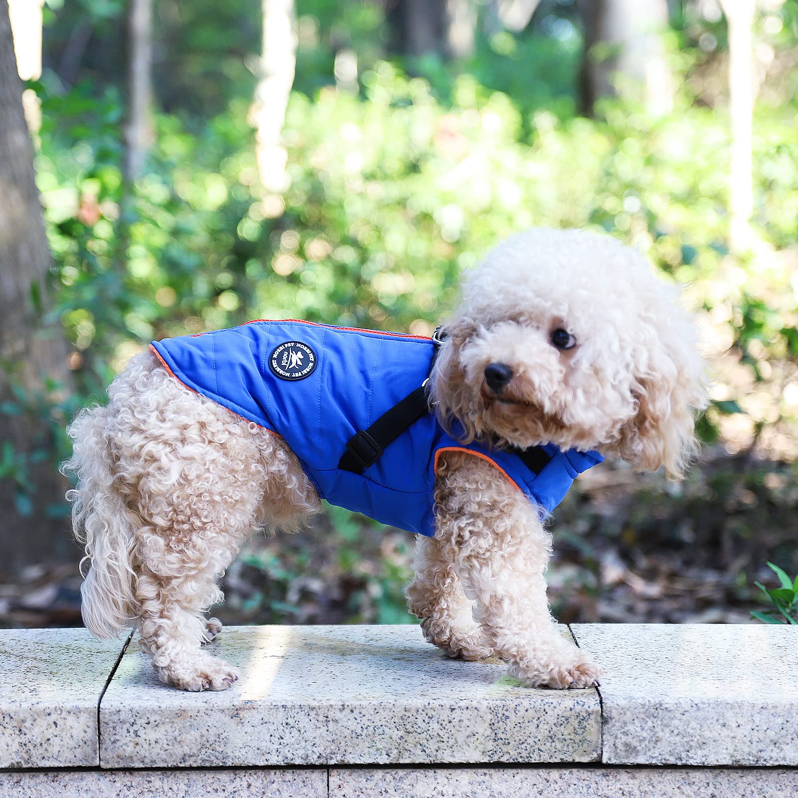 Norbi Pet Warm Jacket Small Dog Vest Harness Puppy Winter 2 In 1 Outfit Cold Weather Coat (3Xl, Blue)