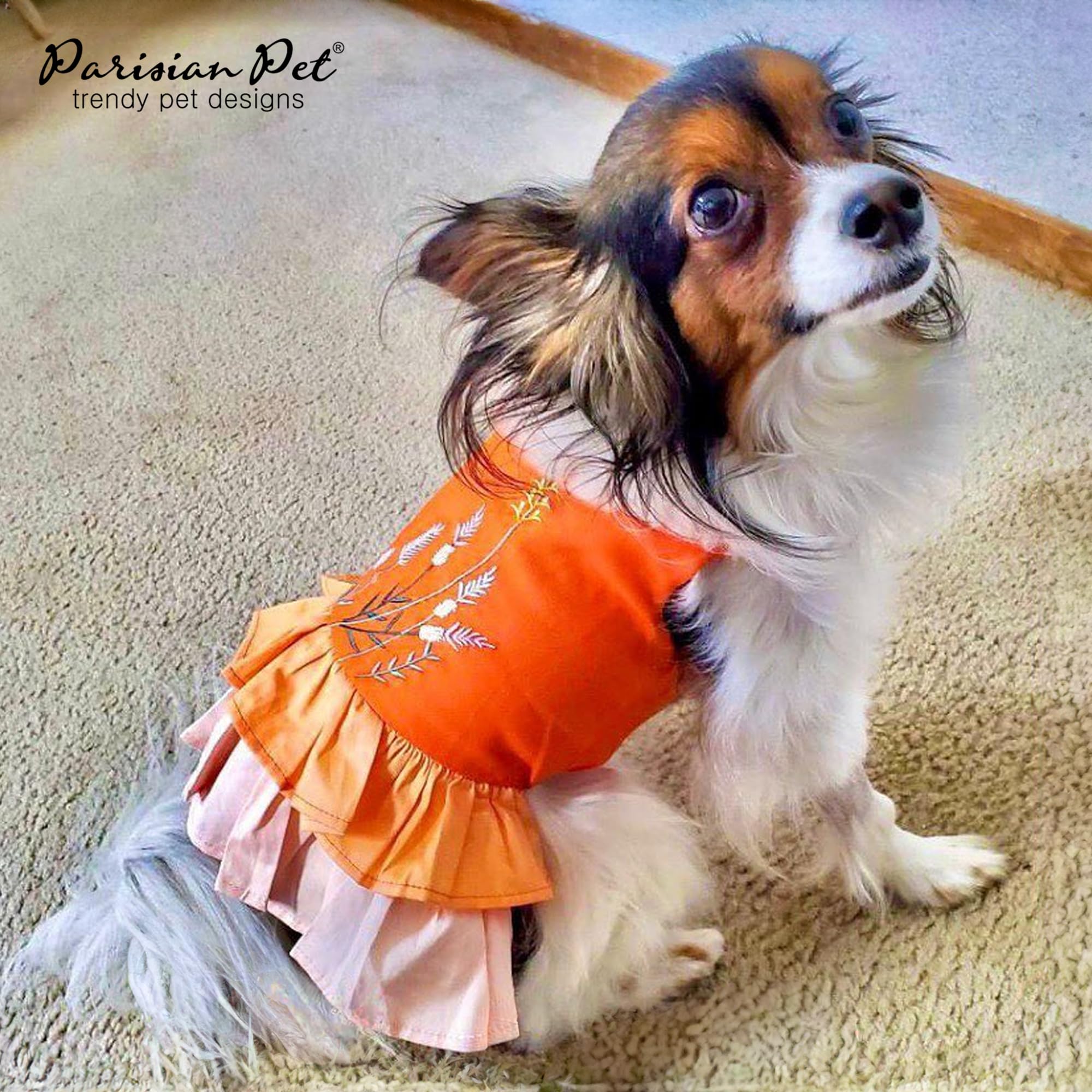 Parisian Pet Color Block Summer Dress - Lightweight Sleeveless Frock - Beach Outfit - Machine Washable - For Large Dogs Girl Xl