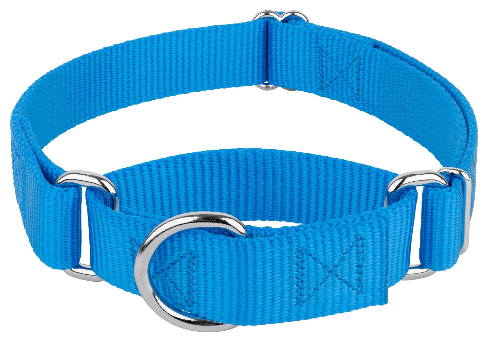 Country Brook Design - Ice Blue Martingale Heavy Duty Nylon Dog Collar - 21 Vibrant Color Options (3/4 Inch Width, Small)