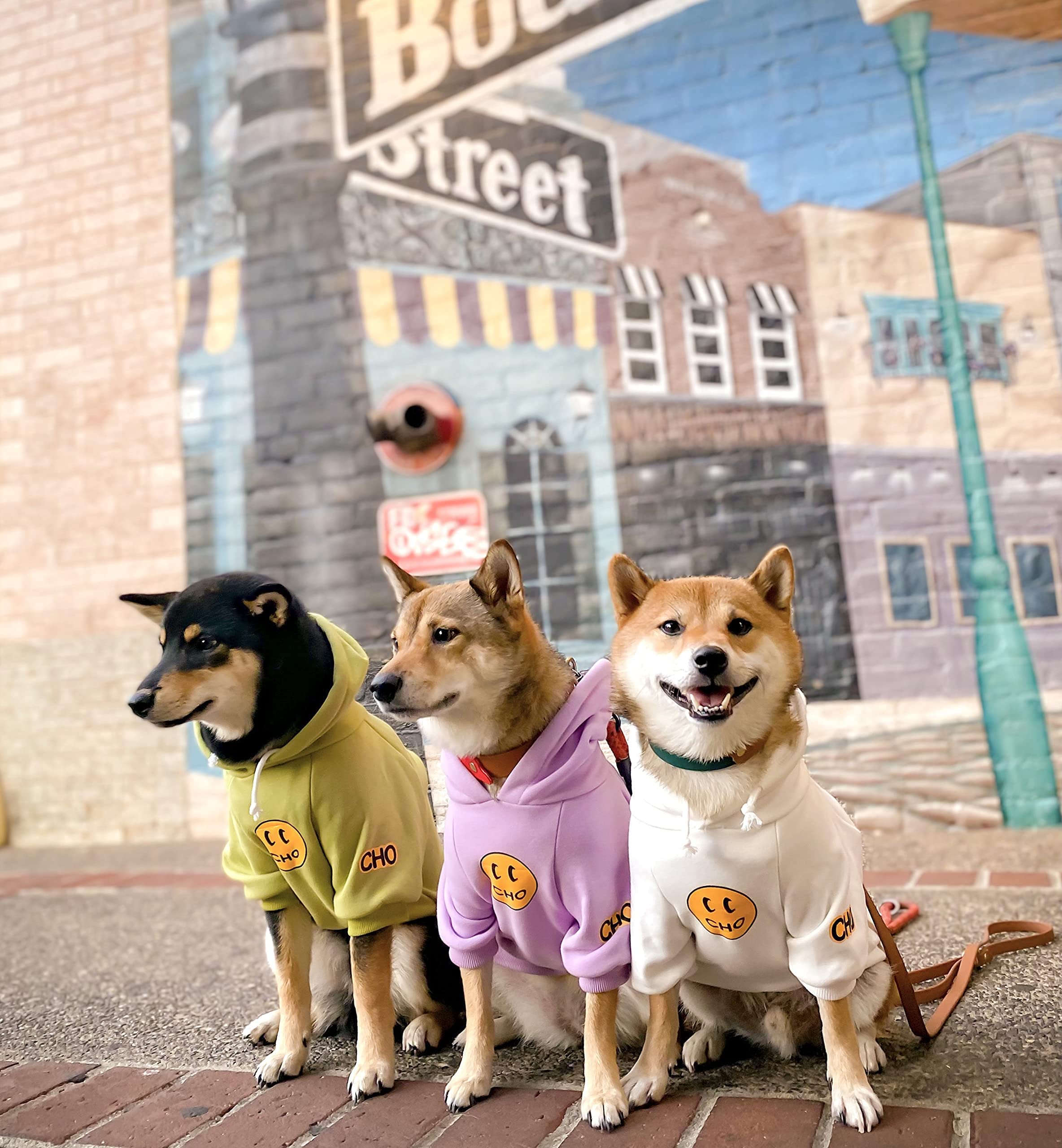 Chochocho Smiley Dog Hoodie Stylish Dog Clothes Smiley Face Sweater Cotton Sweatshirt Fashion Outfit For Dogs Cats Puppy Small Medium Large (L, White)