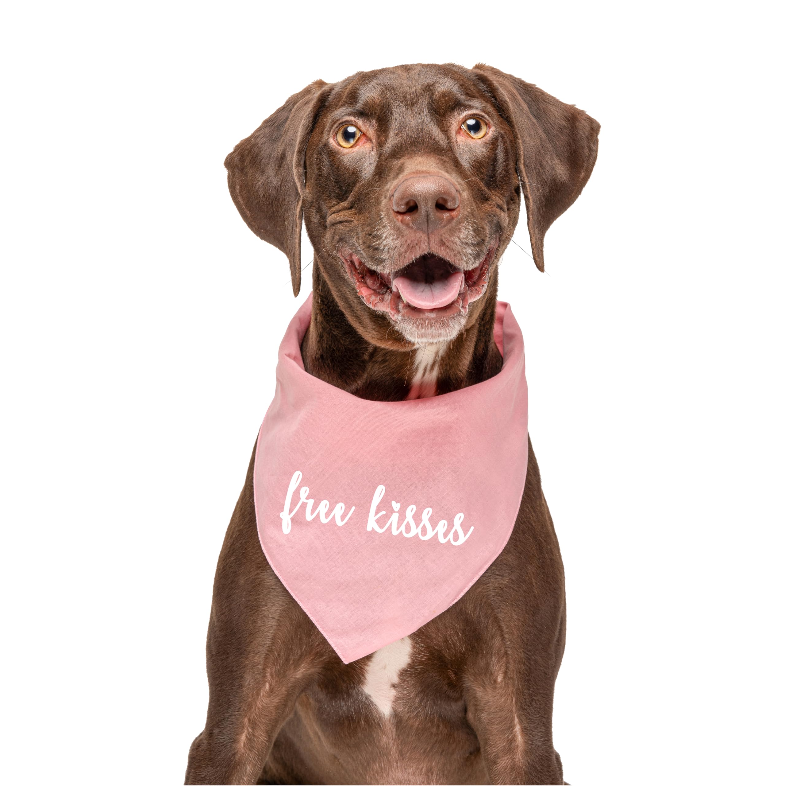 Free Kisses Valentine'S Day Dog Bandana (36 Black, X-Small)