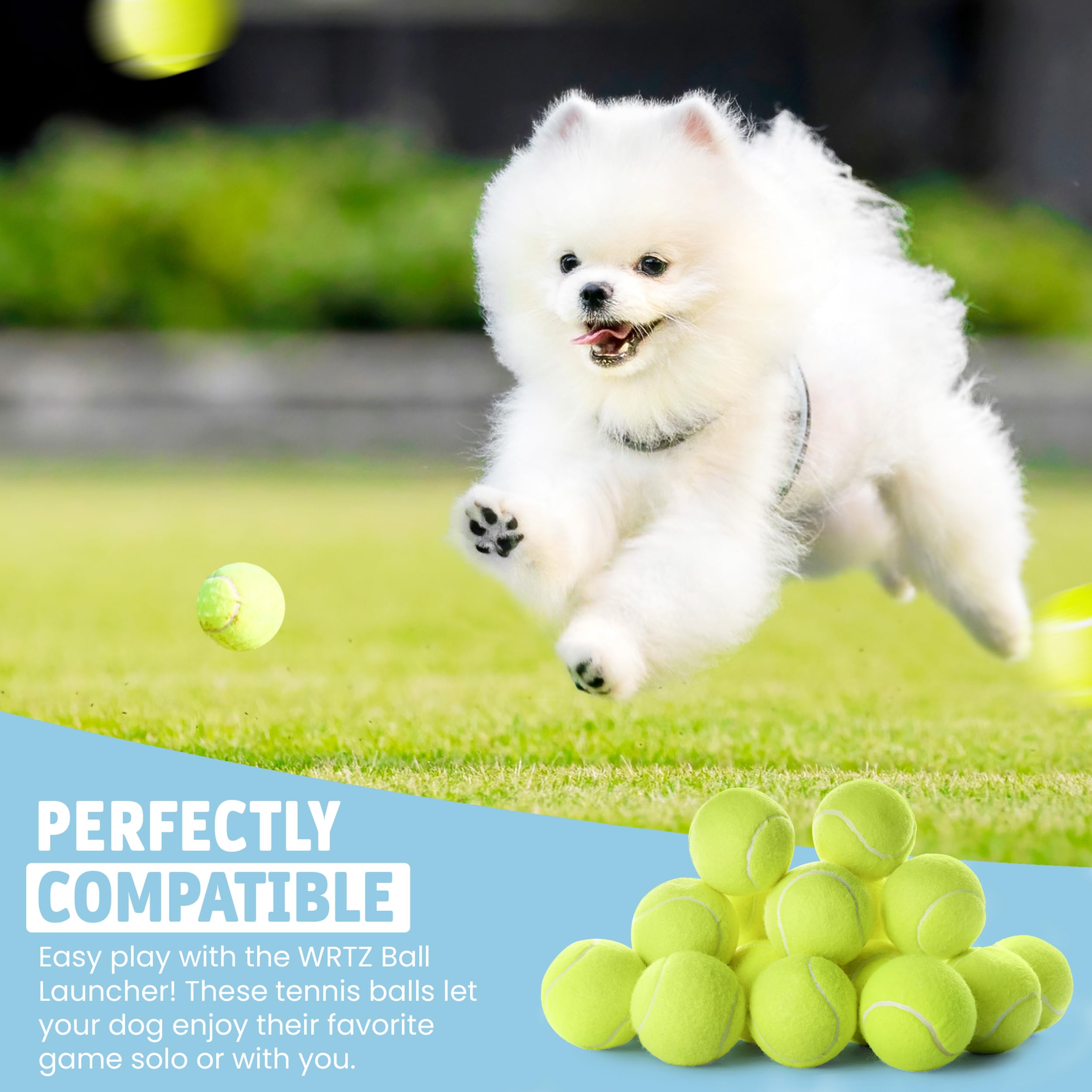 Wrtz 12 Small Tennis Balls For Dogs | 2 Inch Dog Fetch Toys For Your Smaller Pups | Non-Abrasive For Smaller Mouths | Interactiv