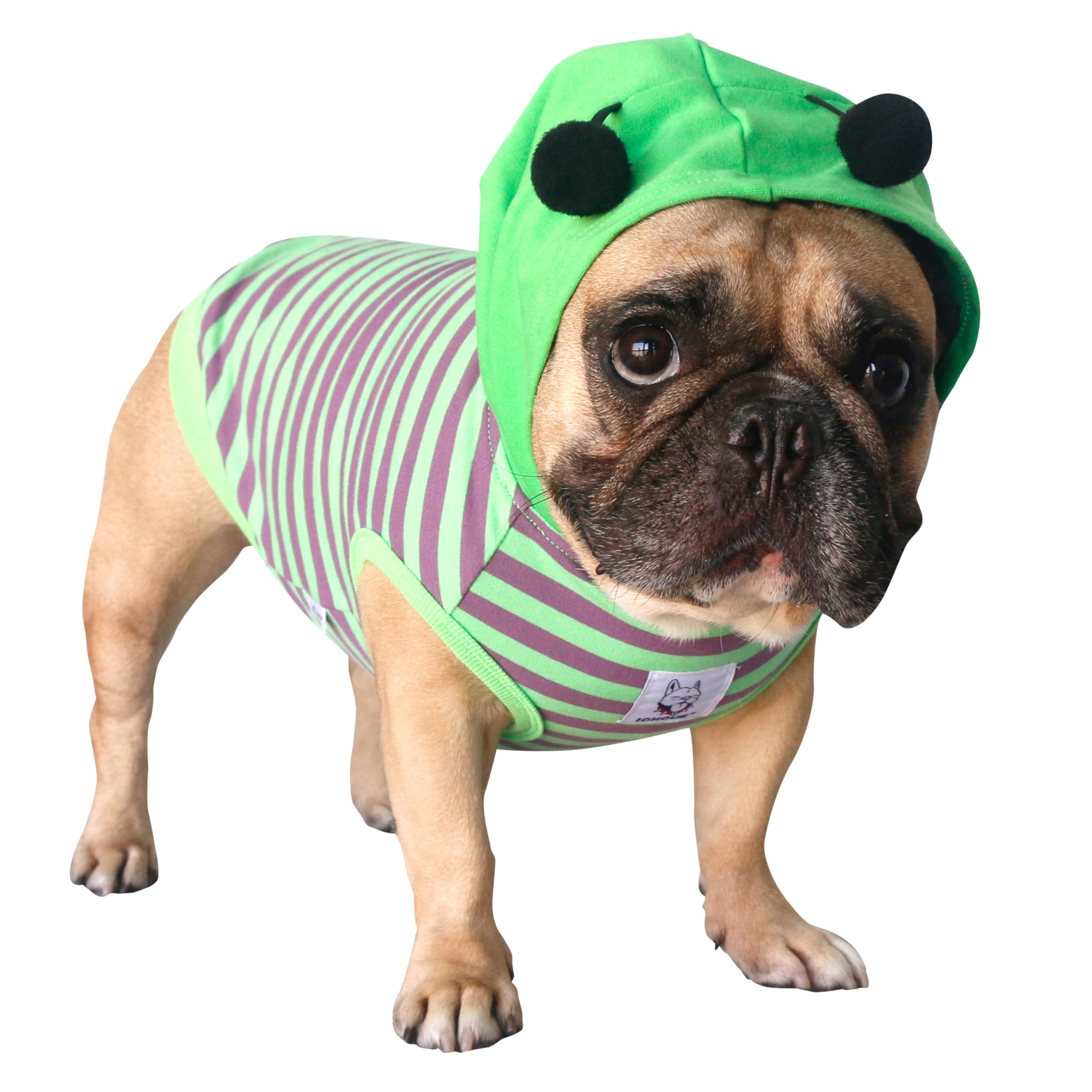Ichoue I Am A French Bulldog Bumble Bee Halloween Costumes Clothes Hoodies Shirts Vest For Medium Dogs Cold Weather Winter Coats Frenchie English Pug Pitbull Boston Terrier - Green Purple, Large