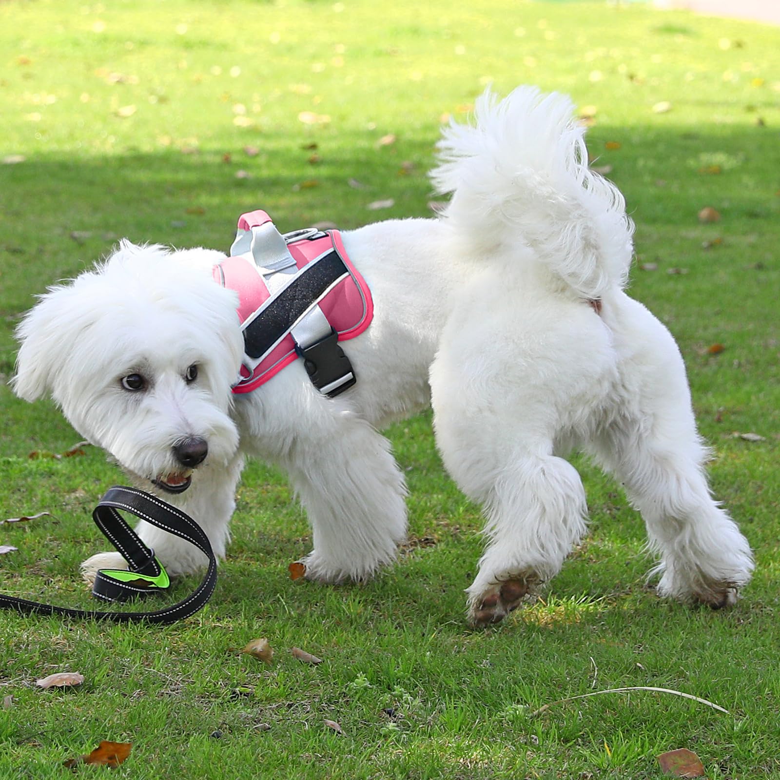 Bolux Dog Harness, No-Pull Reflective Dog Vest, Breathable Adjustable Pet Harness With Handle For Outdoor Walking - No More Pulling, Tugging Or Choking (Fuchsia, Large (Pack Of 1))