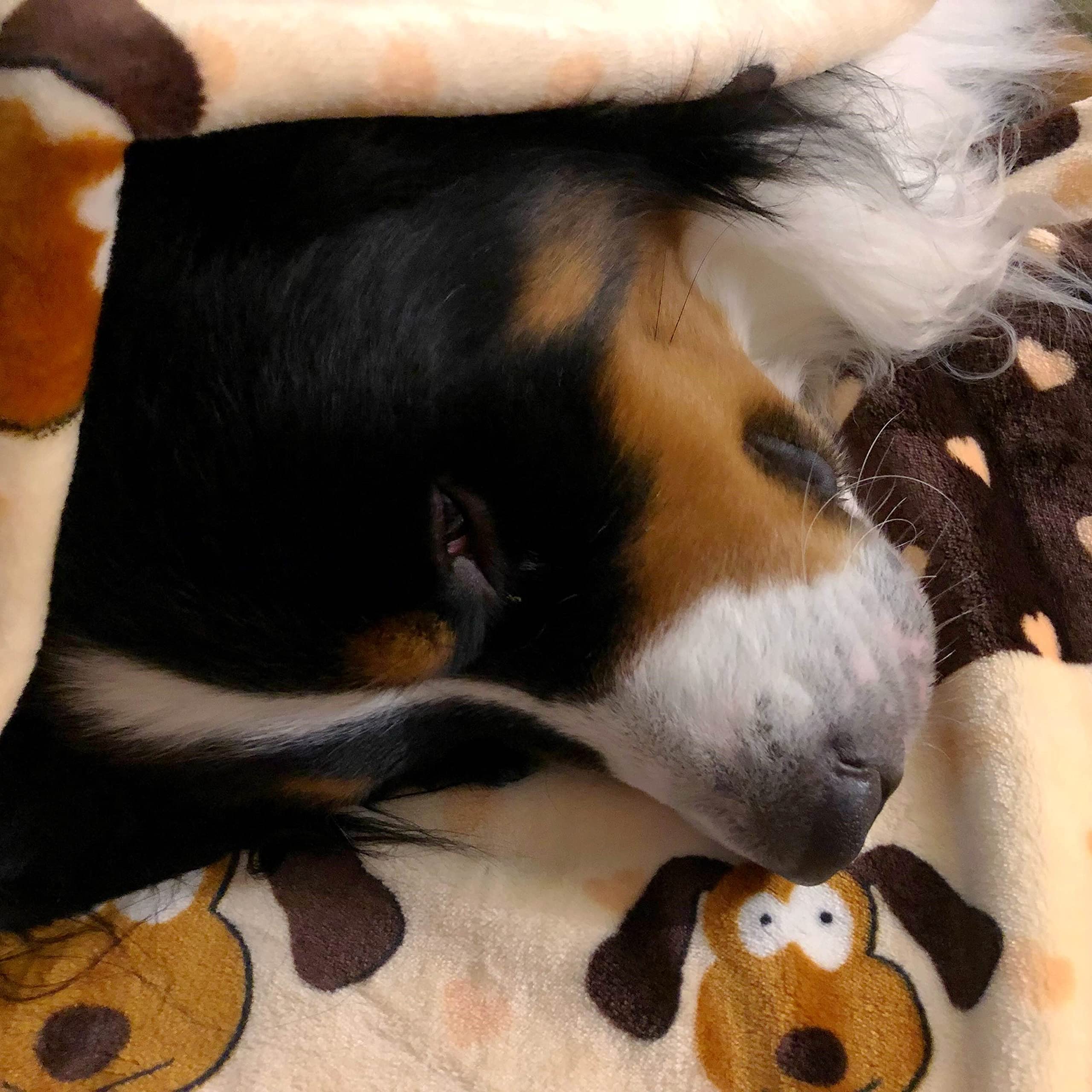 Snuggle Puppy Blanket For Pets - Extra Soft And Long Lasting - Brown Pattern