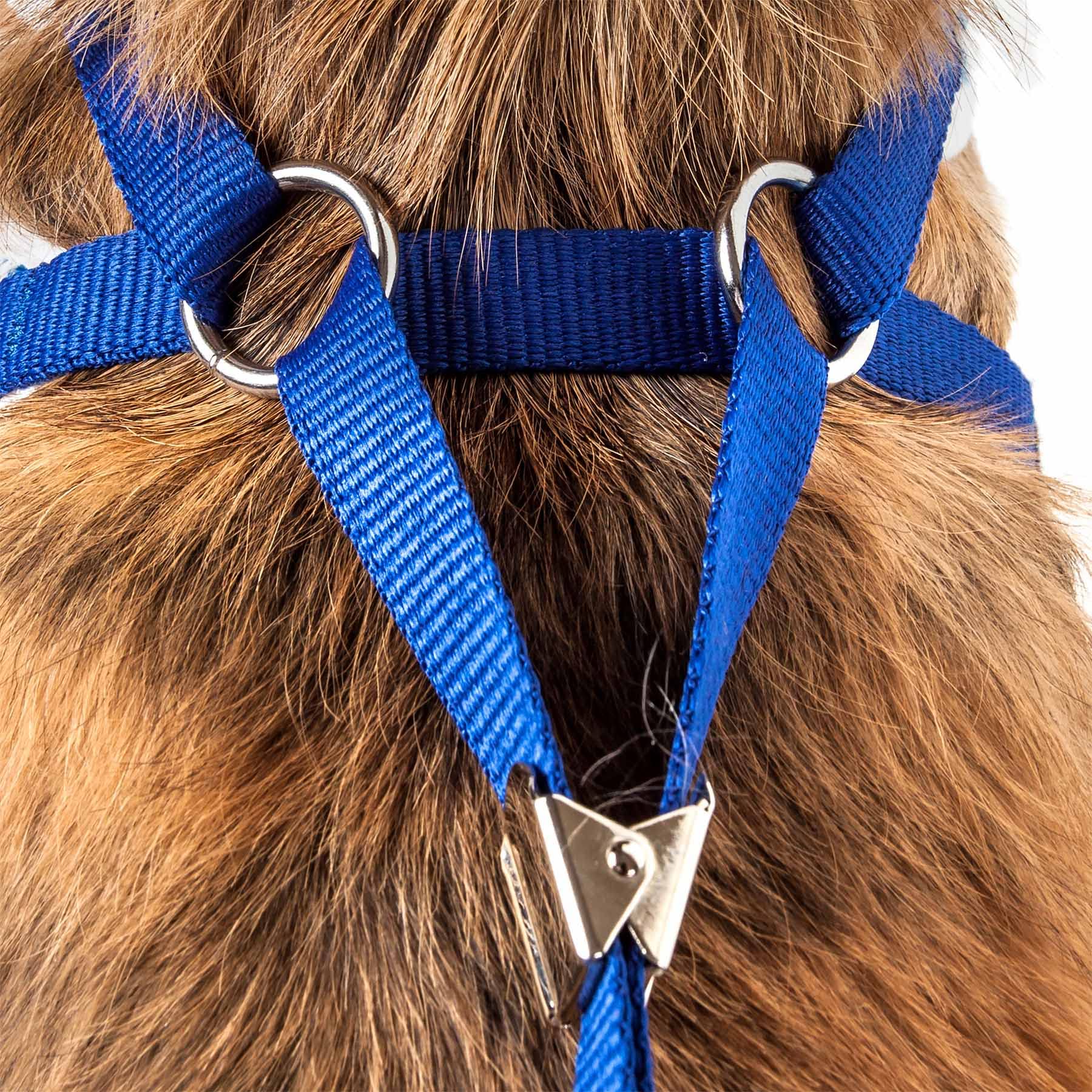 Pet Life  Luxe Collection Spawling 2-in-1 Dog Harness and Leash with Ruffled pet Collar and Fashion Dog Bowtie - Pet Harness and