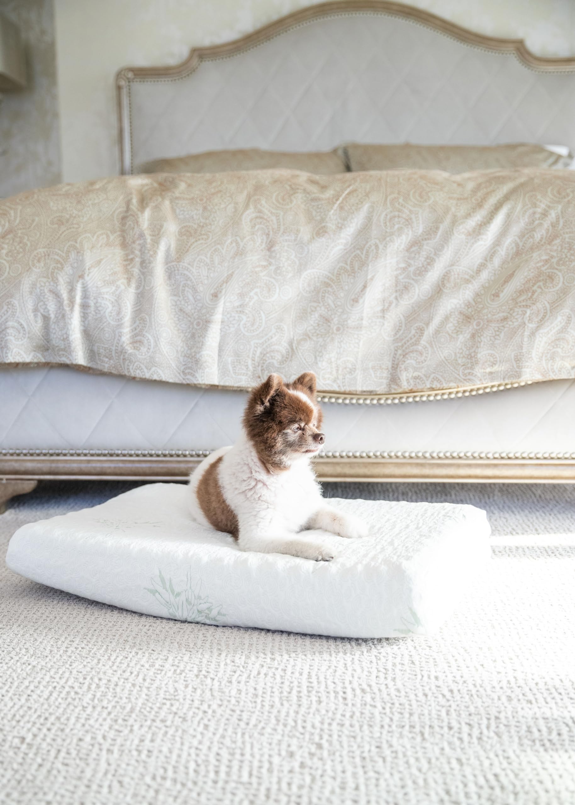 Petique Eco-Friendly Bamboo Memory Foam Pet Bed, Natural, Medium, Model Number: Mm01900005