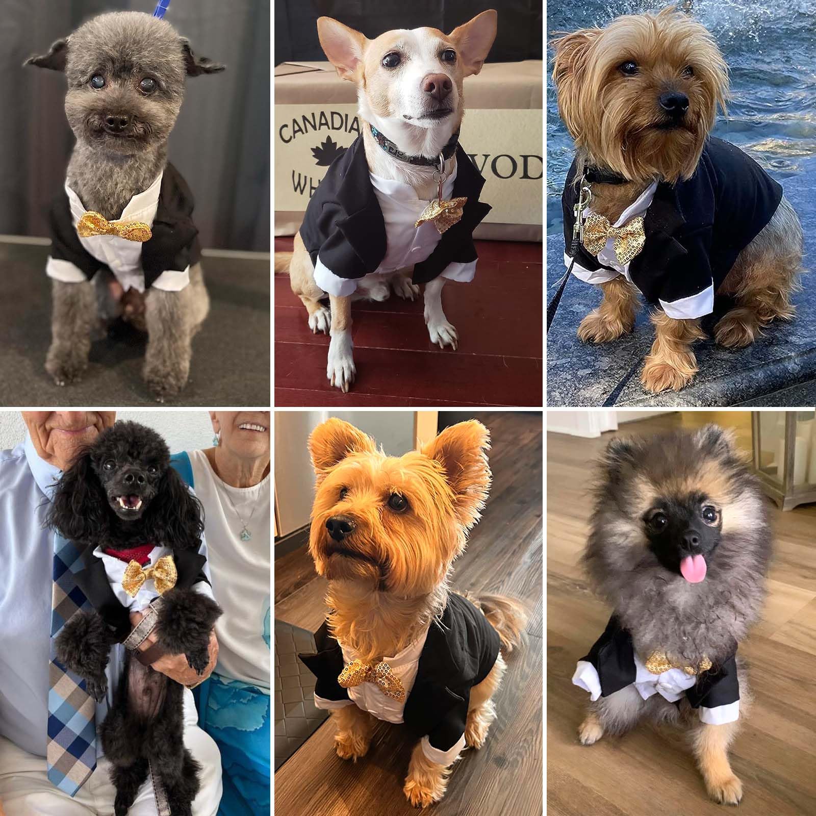 Dog Tuxedo, Formal Dog Clothes Shirt Costume Wedding Attire Party Bow Tie Suit, Dog Outfit For Small Medium Large Dogs Cats, Halloween Pet Costumes Birthday Puppy Clothing Christmas Apparel (Xl)