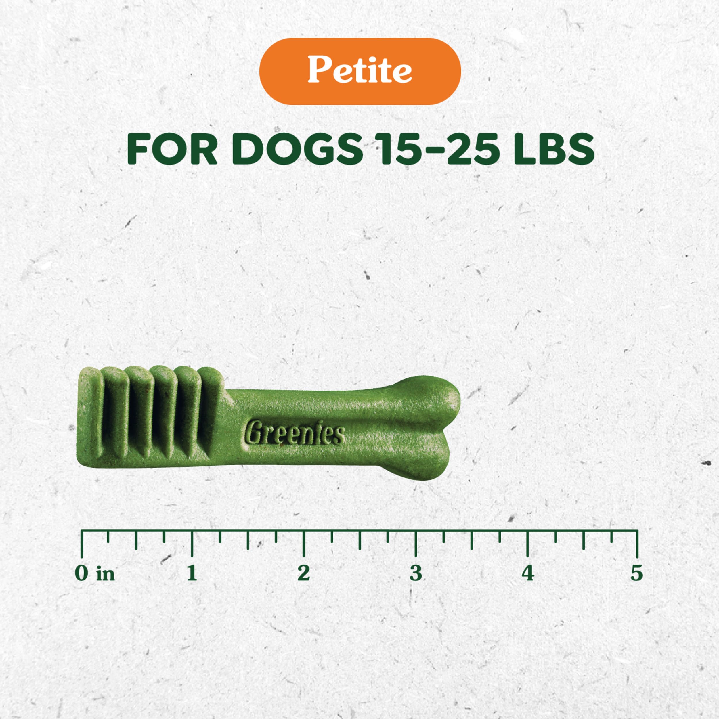 Greenies Petite Natural Dog Dental Care Chews Oral Health Dog Treats, Pumpkin Spice Flavor, 12 oz. (20 Treats)
