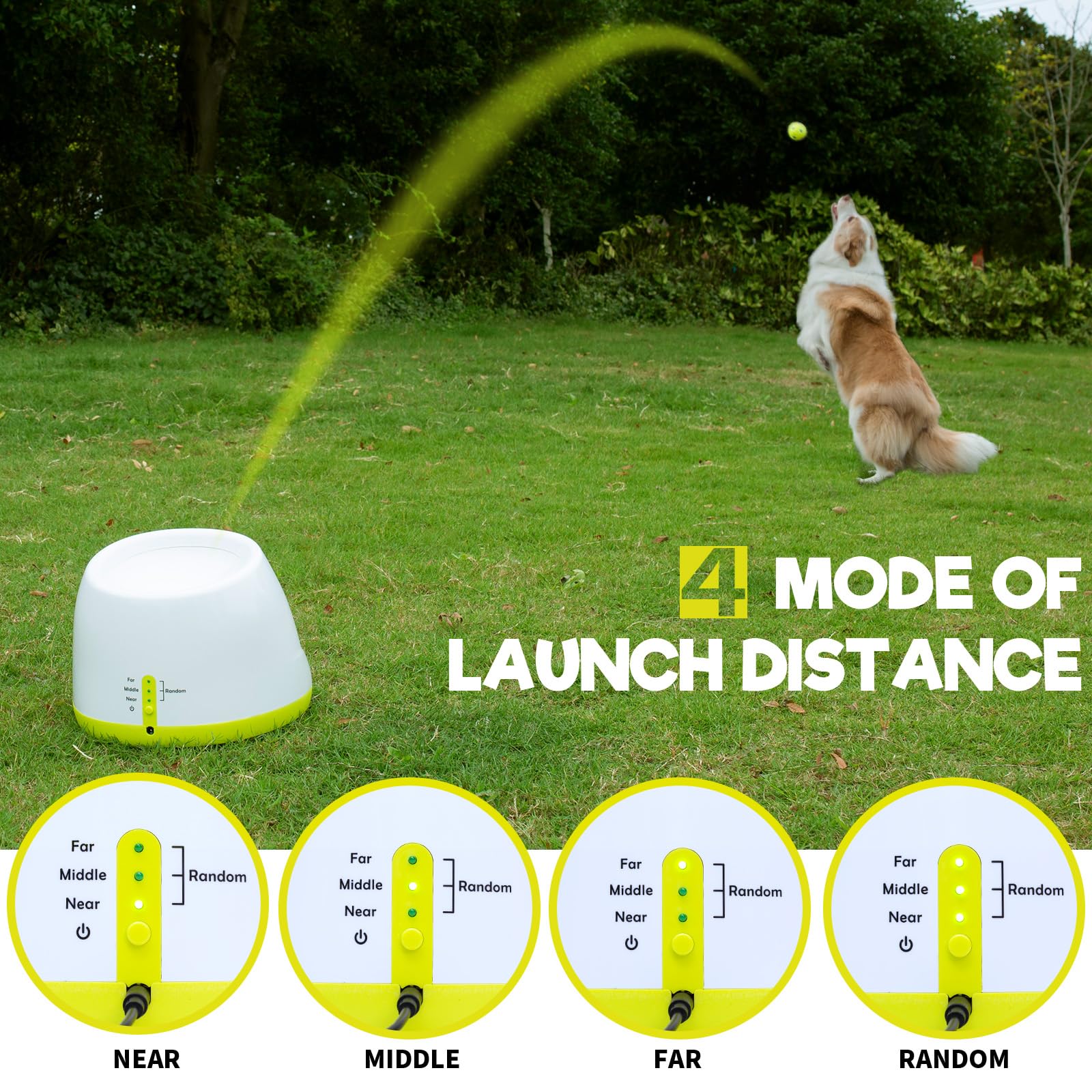 Palulu Automatic Ball Launcher For Dog, Including 9 Small Sized 2-Inch Balls, Adjustable Launch Distance, Suitable For Small To