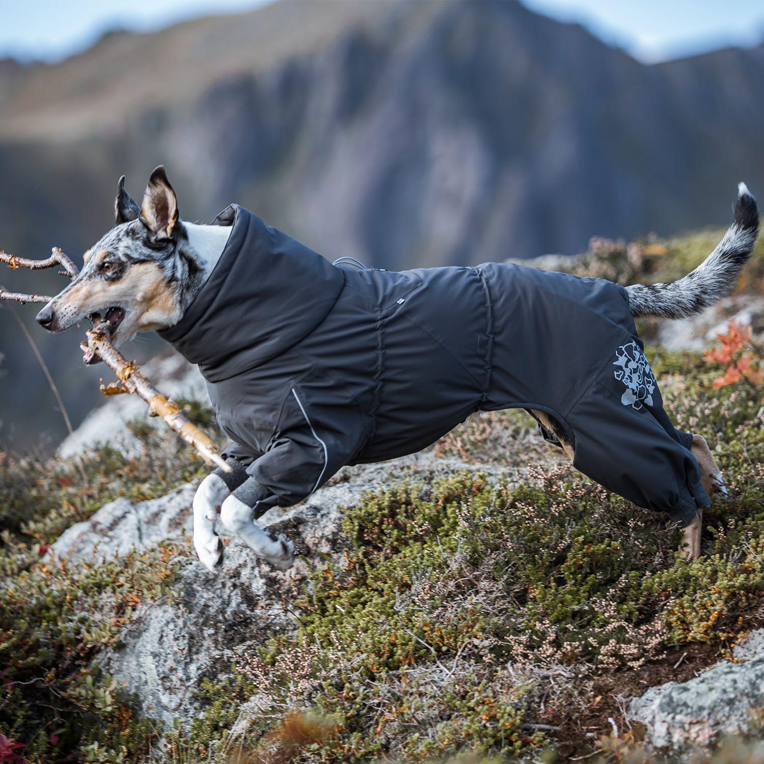 Hurtta Extreme Overall Dog Snowsuit, BlackBerry, Size 26M, 100% PES Material