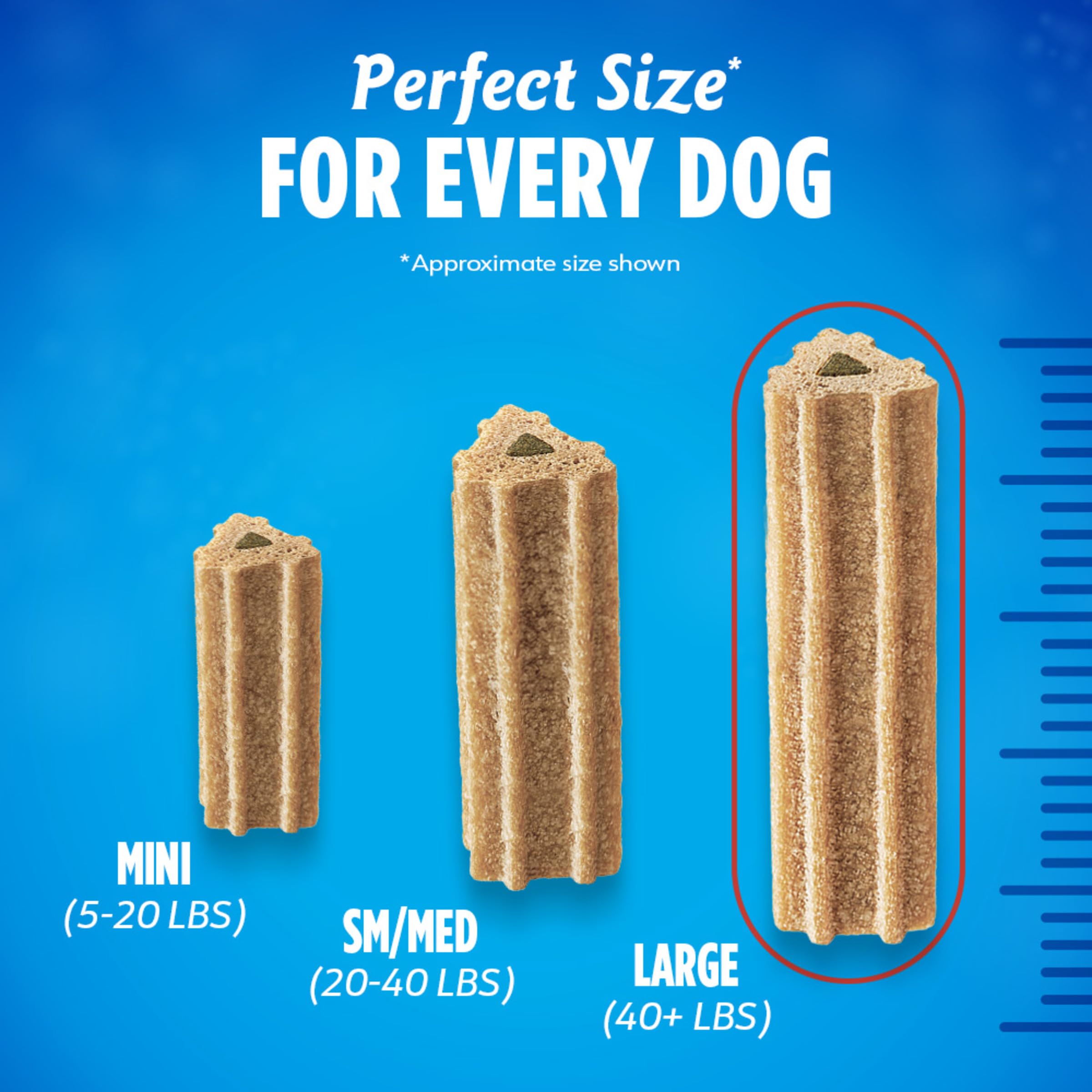 Purina DentaLife ActivFresh Chicken Flavor Large Breed Adult Dog Dental Chews - 7 Count (Pack of 5)
