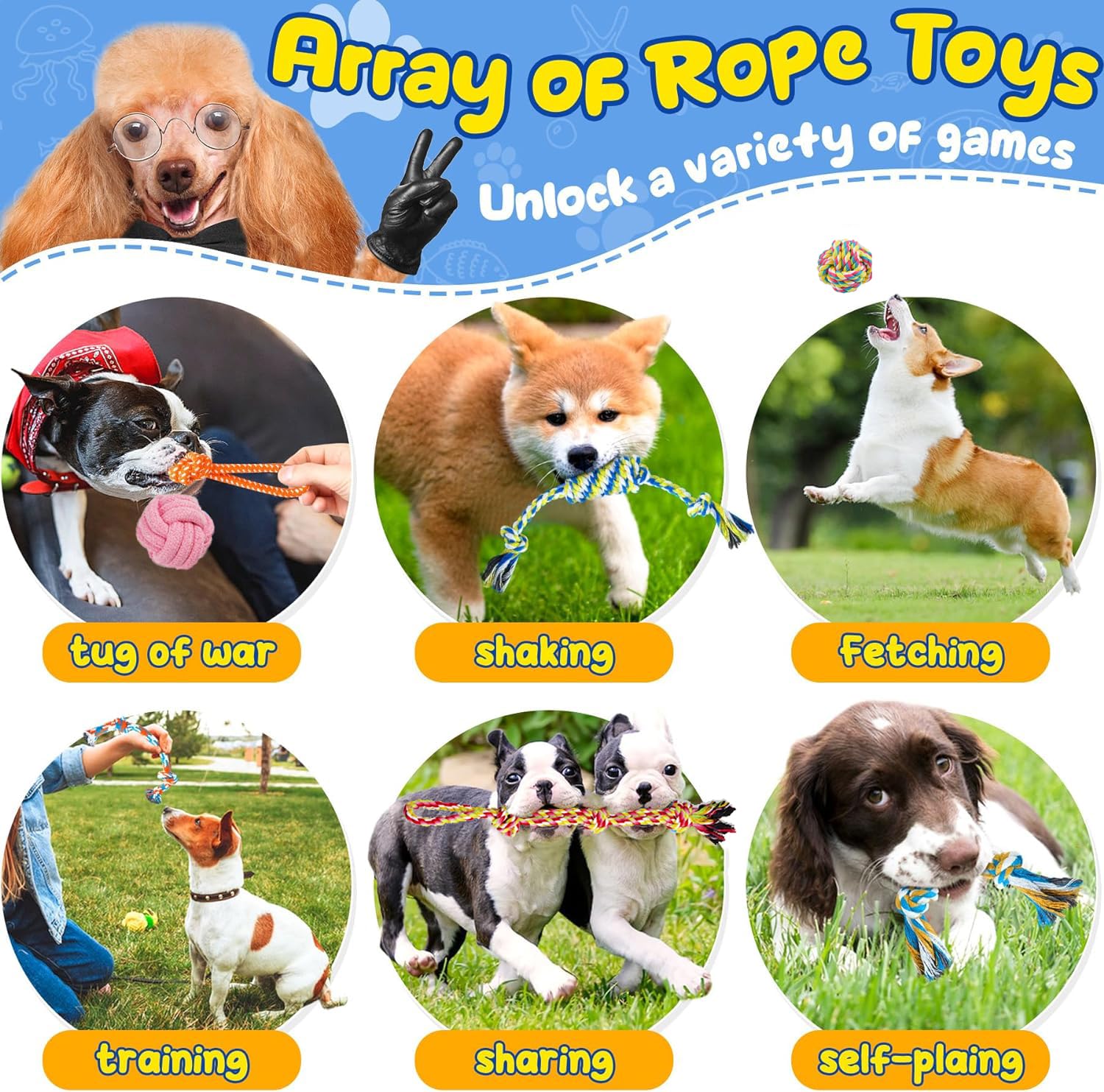 LosFong 18 Pack Luxury Dog Chew Toys for Small Dogs & Puppies - Premium Puppy Chew Toy Set with Ropes, Treat Ball, Squeaky Toys,