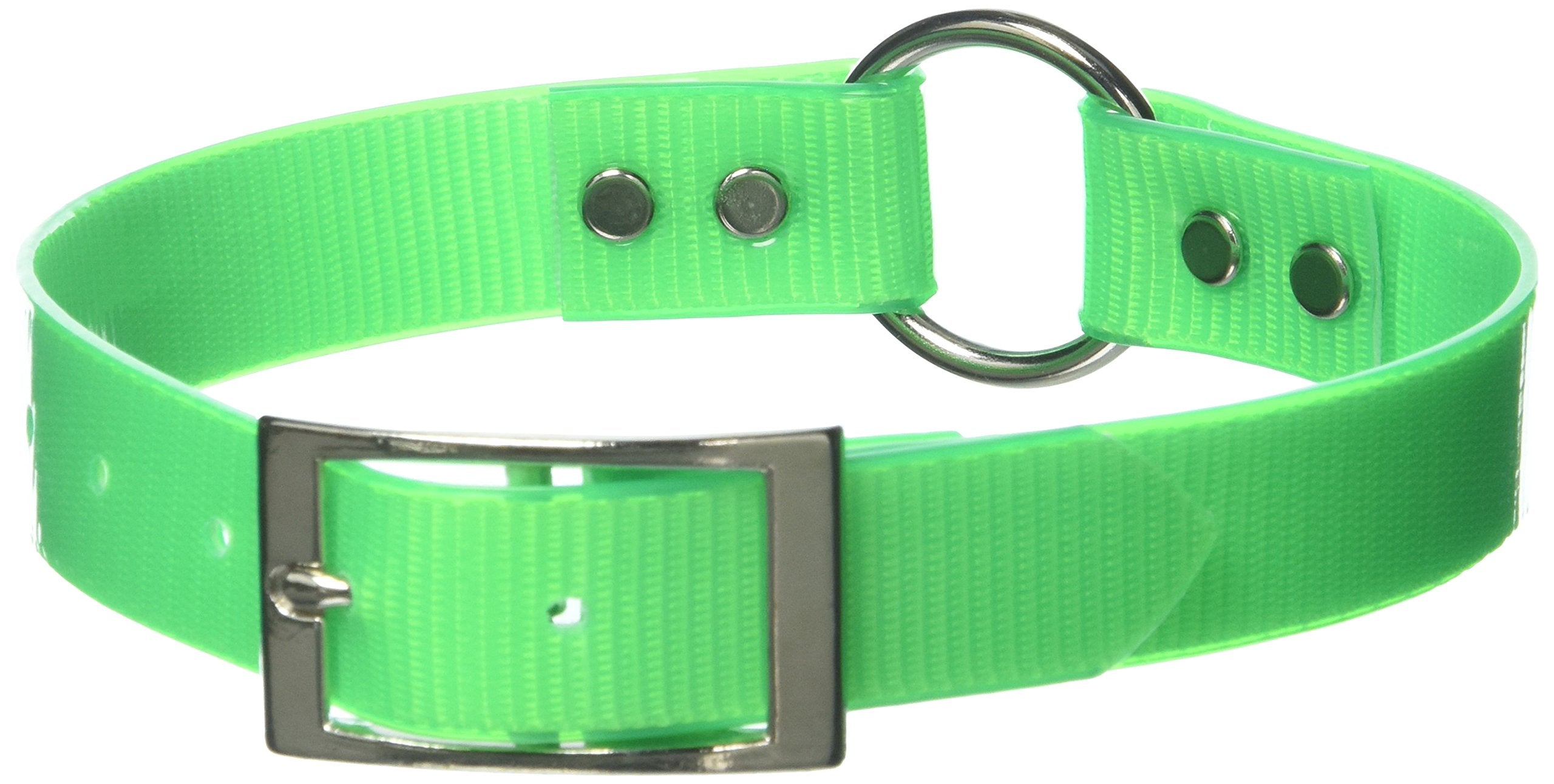 Omnipet Sunglo Ring-In-Center Dog Collar, 1' Wide, Neon Green, Fits 14.5'- 18' Neck Sizes, Vibrant Colors & Tough Constructio