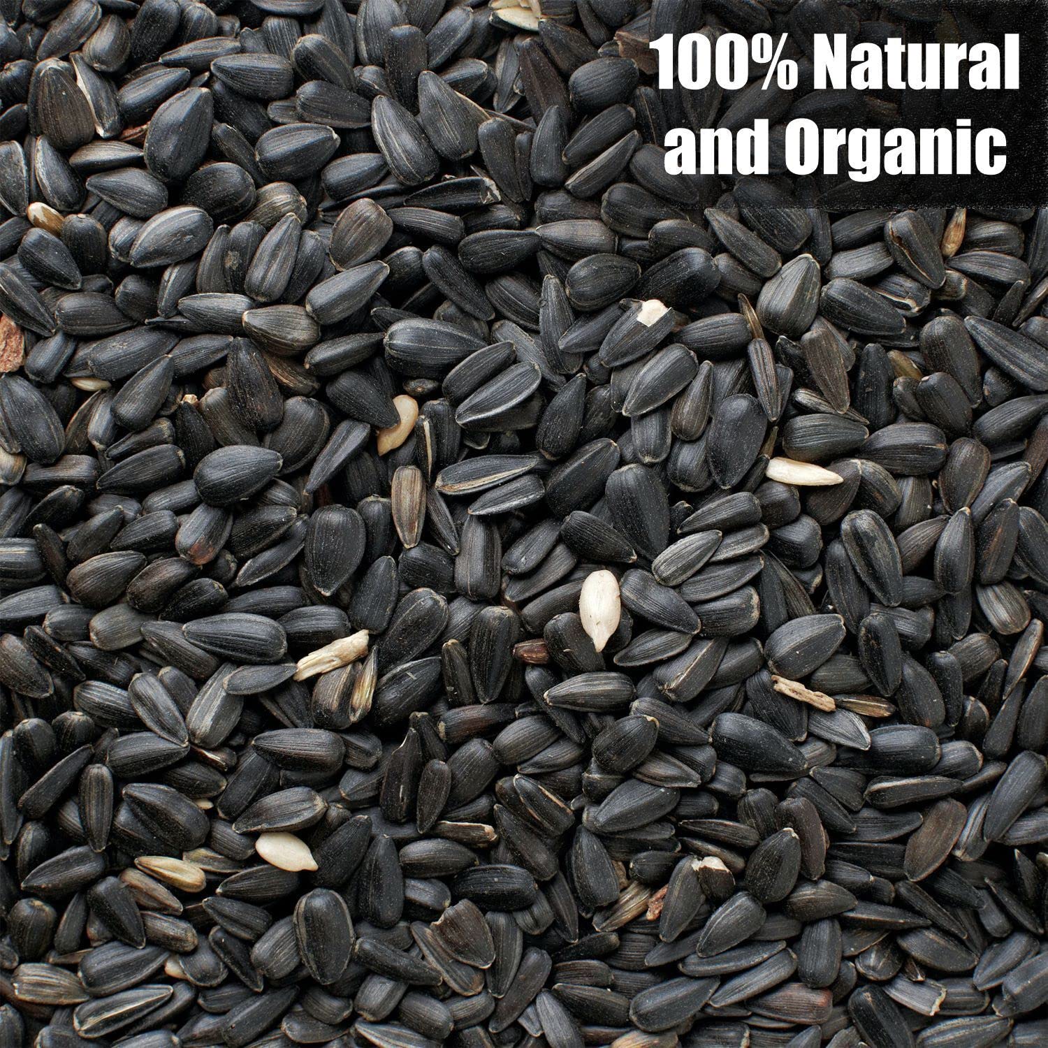 Old Potters Wildlife Black Oil Sunflower Seeds for Birds and Wildlife, Non-GMO & USA Grown on Small Farms (50 lbs)