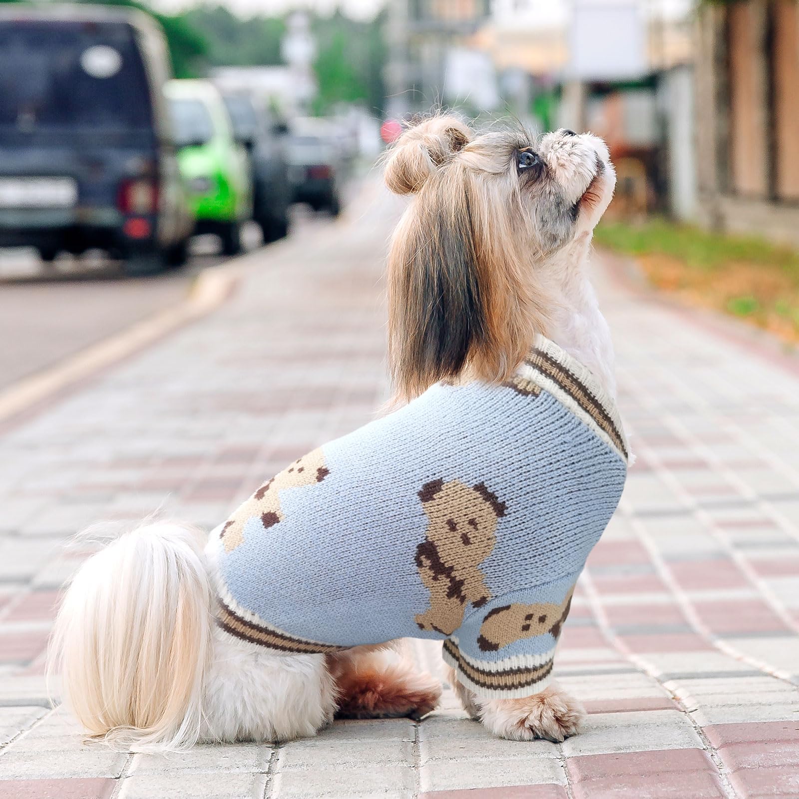 Abrrlo Small Dog Sweater Cute Bear Cardigan For Medium Dogs Boy Girl Puppy Cat Knitting Outfits Winter Coats Warm Pet Clothes So