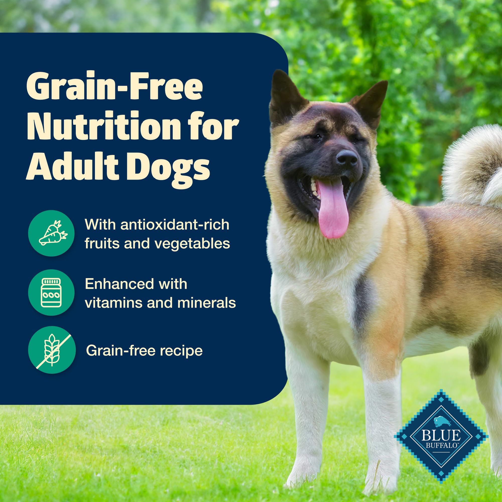 Blue Buffalo Freedom Grain-Free Wet Dog Food, Free of Glutens & Artificial Preservatives, Made with Natural Ingredients, Lamb Re