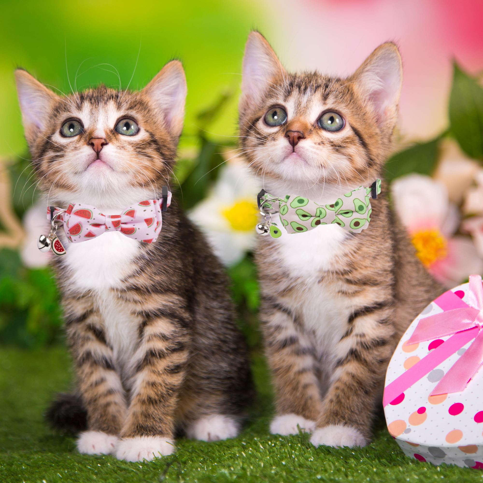 Adoggygo Cat Collar Breakaway With Cute Bow Tie Bell - 2 Pack Watermelon Avocado Pet Collars With Removable Bowtie Fruit Bowtie