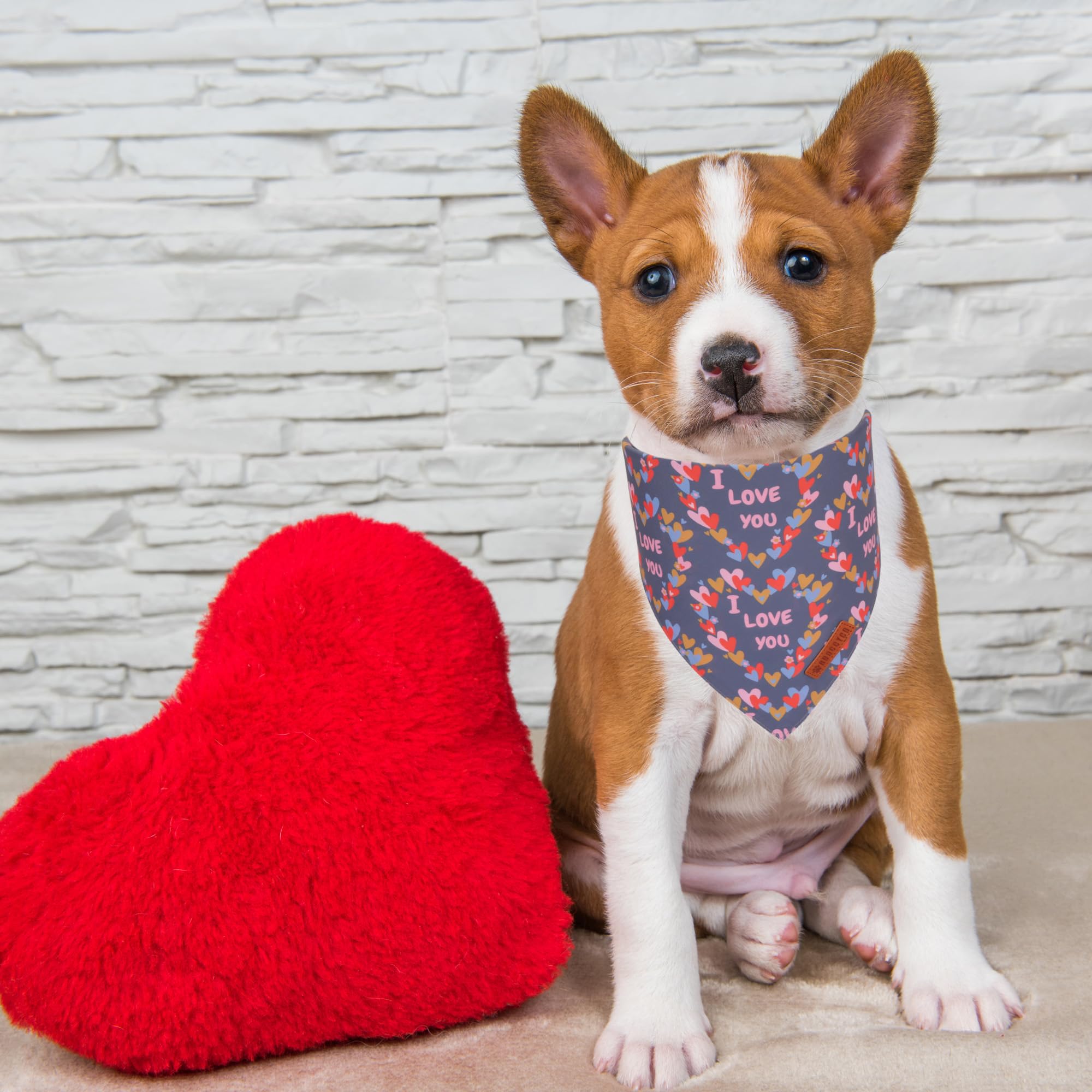ADOGGYGO Valentine Dog Bandanas, Heart Love Floral Pet Scarf, Multi Size Offered, Pink Blue Pet Valentine Bandana for Small Dogs