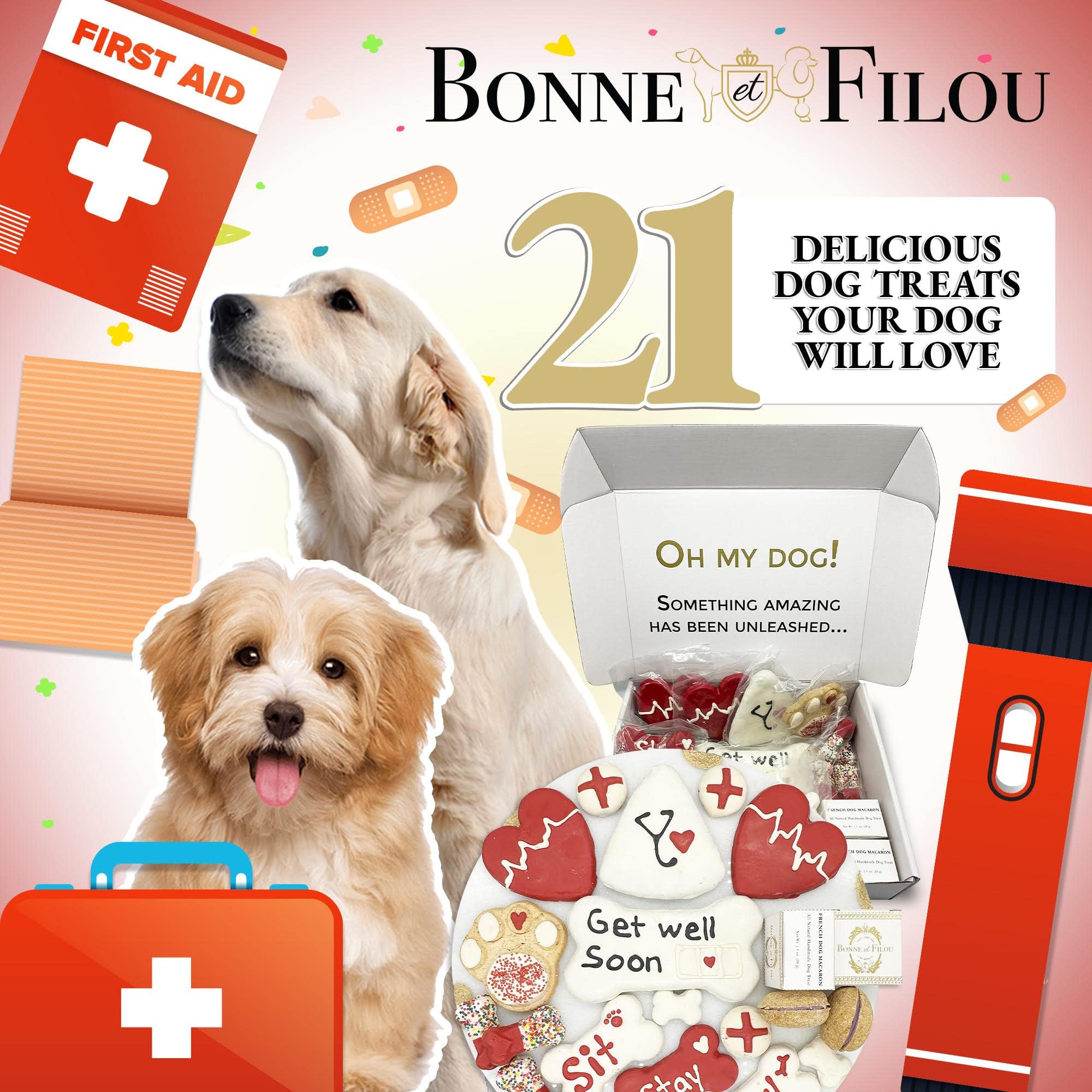 Bonne et Filou Get Well Soon Dog Treats, Gourmet Gift Box, 21 Luxury Macarons, Truffles & Bone Cookies, Healthy & Delicious Snac