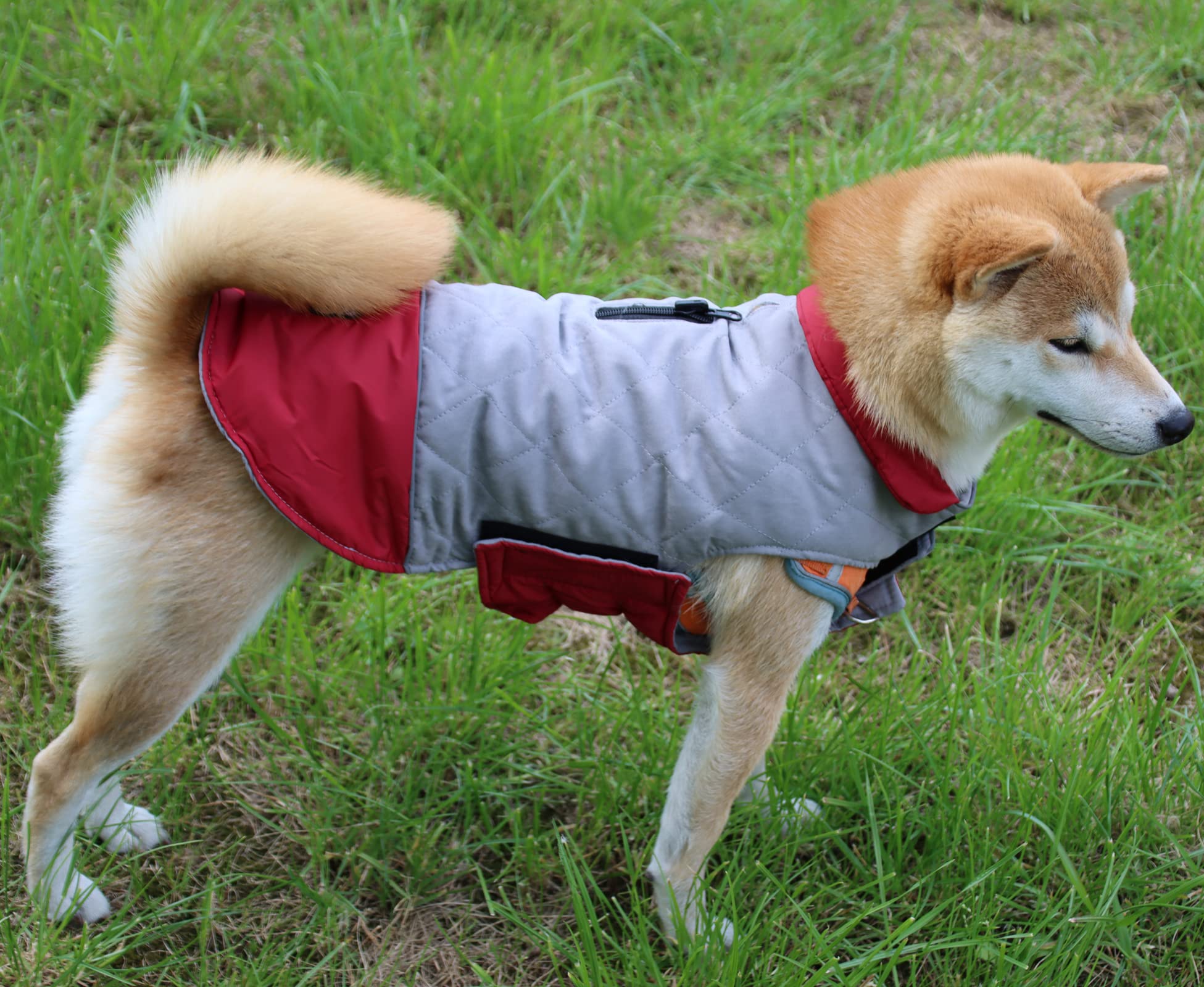 Vecomfy Reversible Dog Coats For Small Dogs Waterproof Warm Puppy Jacket For Cold Winter,Red And Grey S