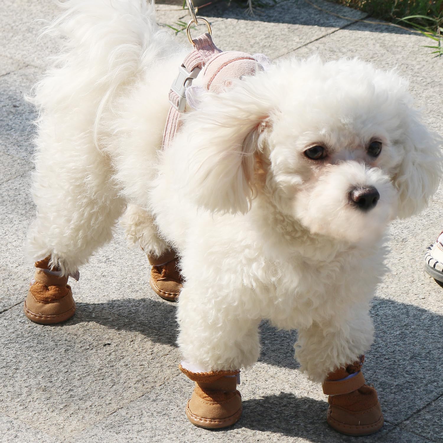 Urbest Dog Shoes With Hook Loop Closure Booties Pet Dog Chihuahua Shoes Boots, 4Pcs (5#, Brown)