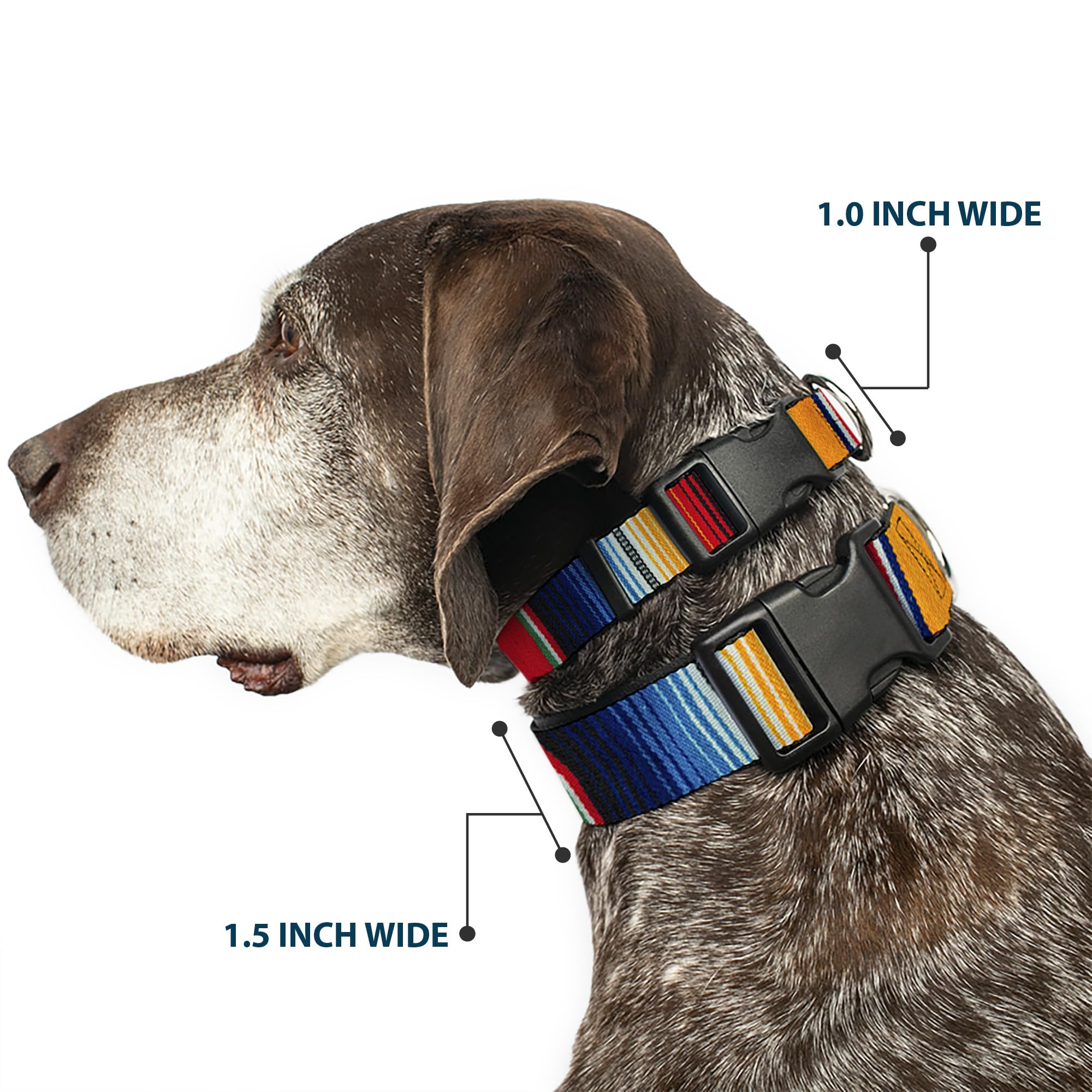 Buckle-Down Plastic Clip Collar - Zarape2 Vertical Multi Color Stripe - 1.5 Wide - Fits 13-18 Neck - Small