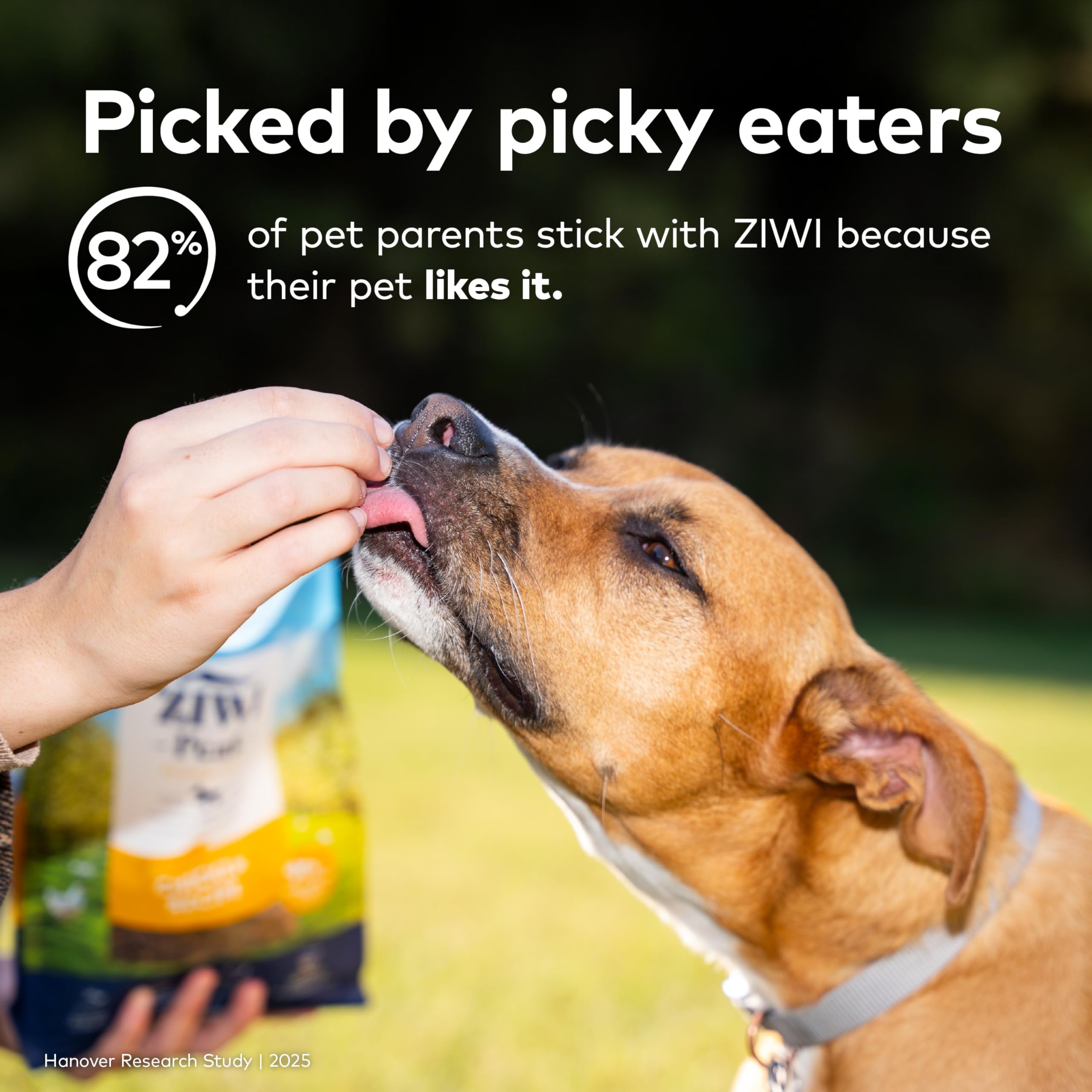 ZIWI Peak Air-Dried Dog Food - Beef - All Natural, High Protein, Grain Free, Limited Ingredient w/Superfoods (3.5oz)