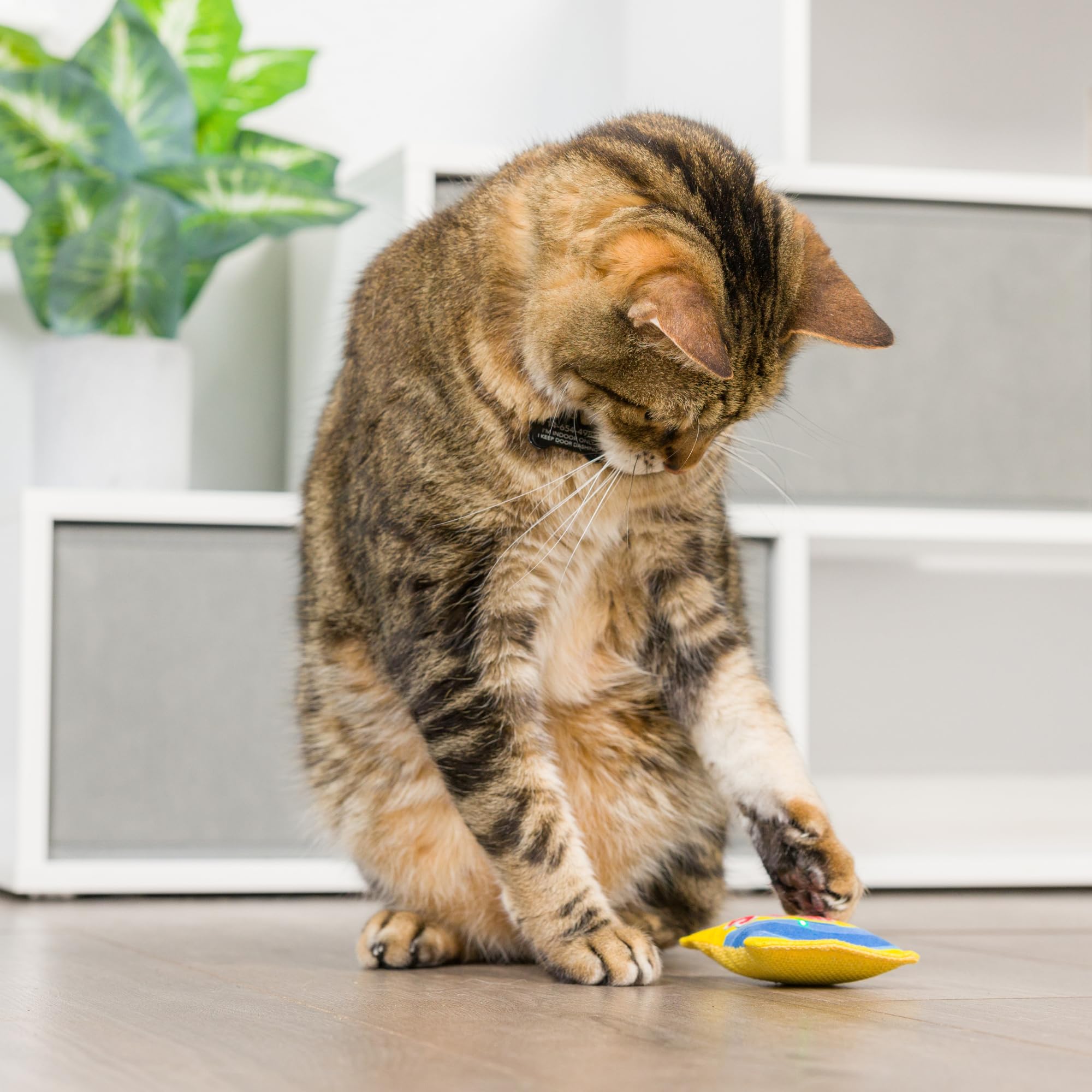 Huxley & Kent Plush Cat Toy - Sweetest Fish - Snack Attack Strong Catnip Filled - Plush Interactive Kitten And Cat Toy With Catn