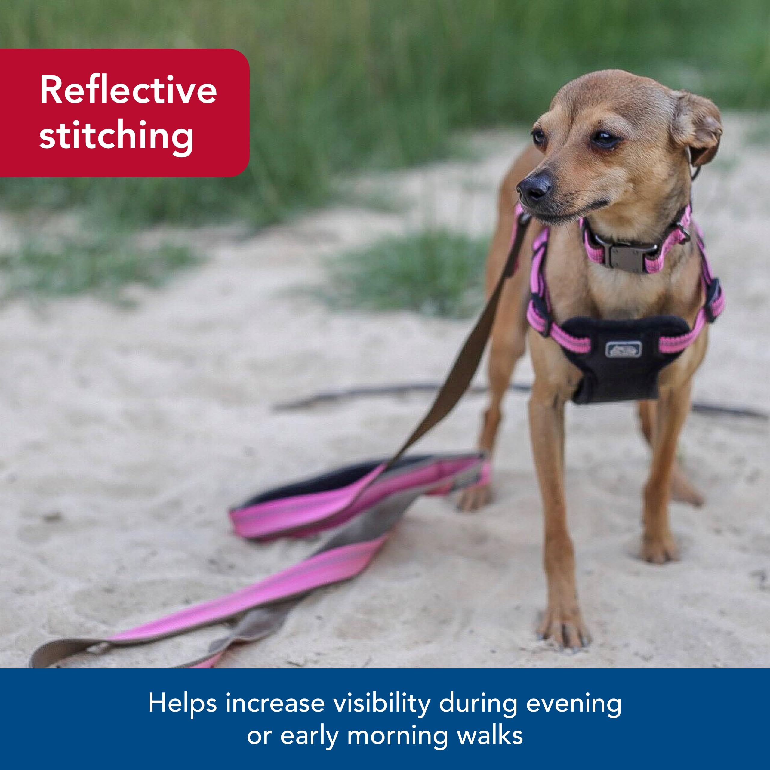 Coastal - K-9 Explorer - Reflective Dog Leash With Scissor Snap, Rosebud, 5/8'' X 6