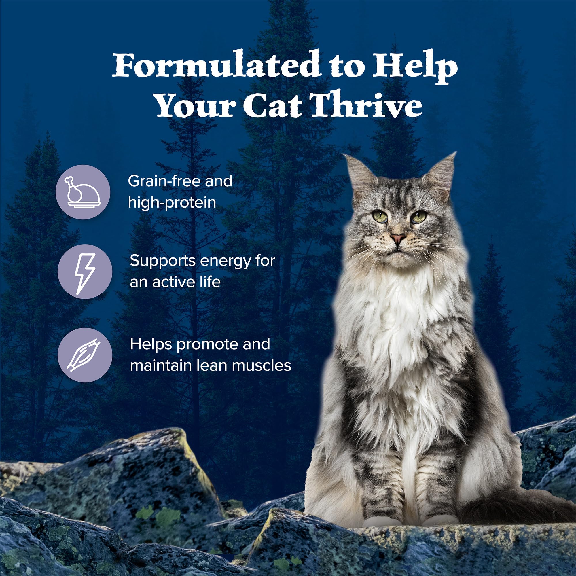 Blue Buffalo Wilderness Natural Wet Cat Food Pat  , High-Protein & Grain-Free Recipe, Chicken, 5.5-oz. Cans (24 Count)