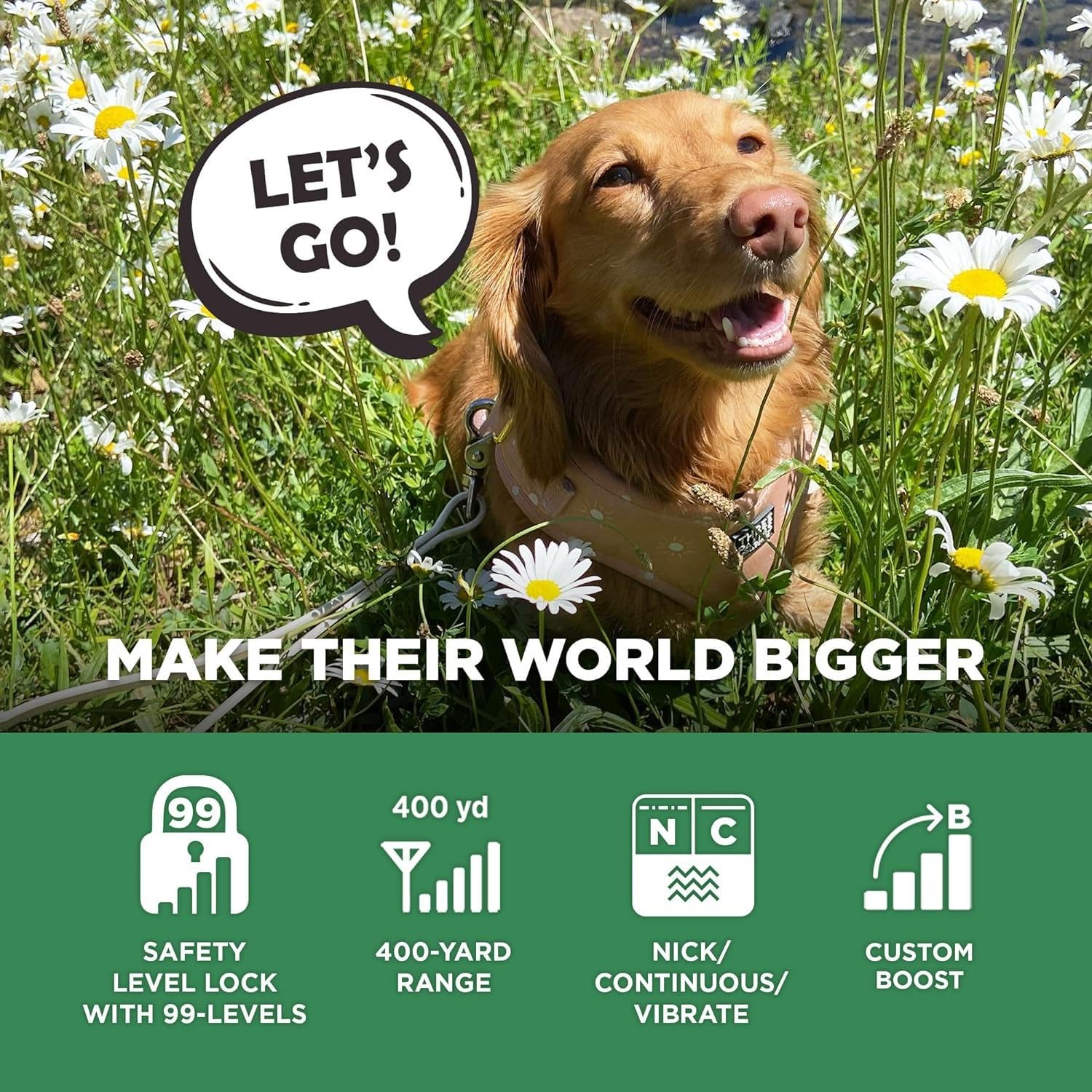 Dogtra Cue Gen 2 Tan - Customizable E-Collar For Dogs Training Collar With Remote - Easy, Safe, Beginner-Friendly Design - 99 Le