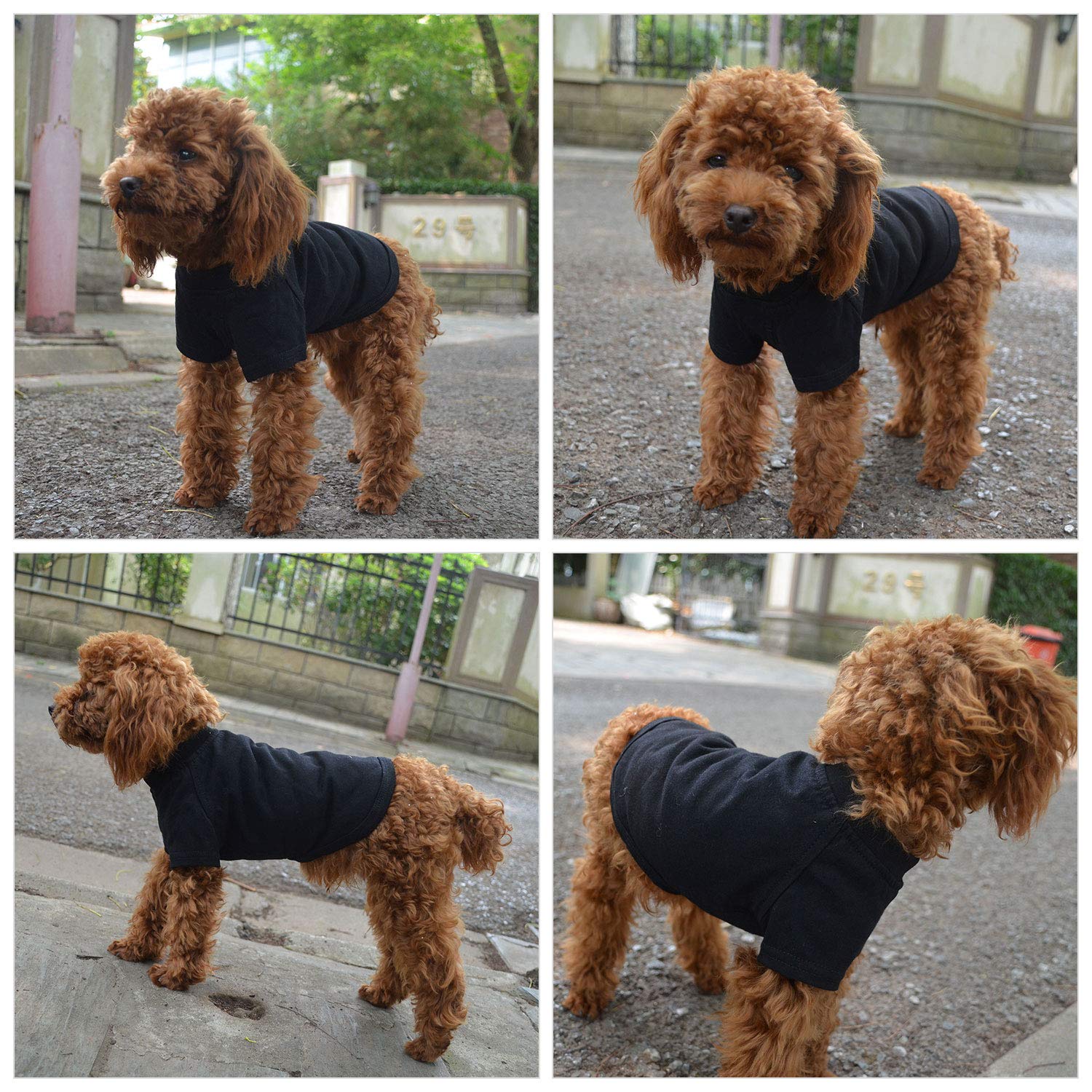 Lovelonglong Pet Clothing Dog Costumes Basic Blank T-Shirt Tee Shirts for Small Dogs Black XS