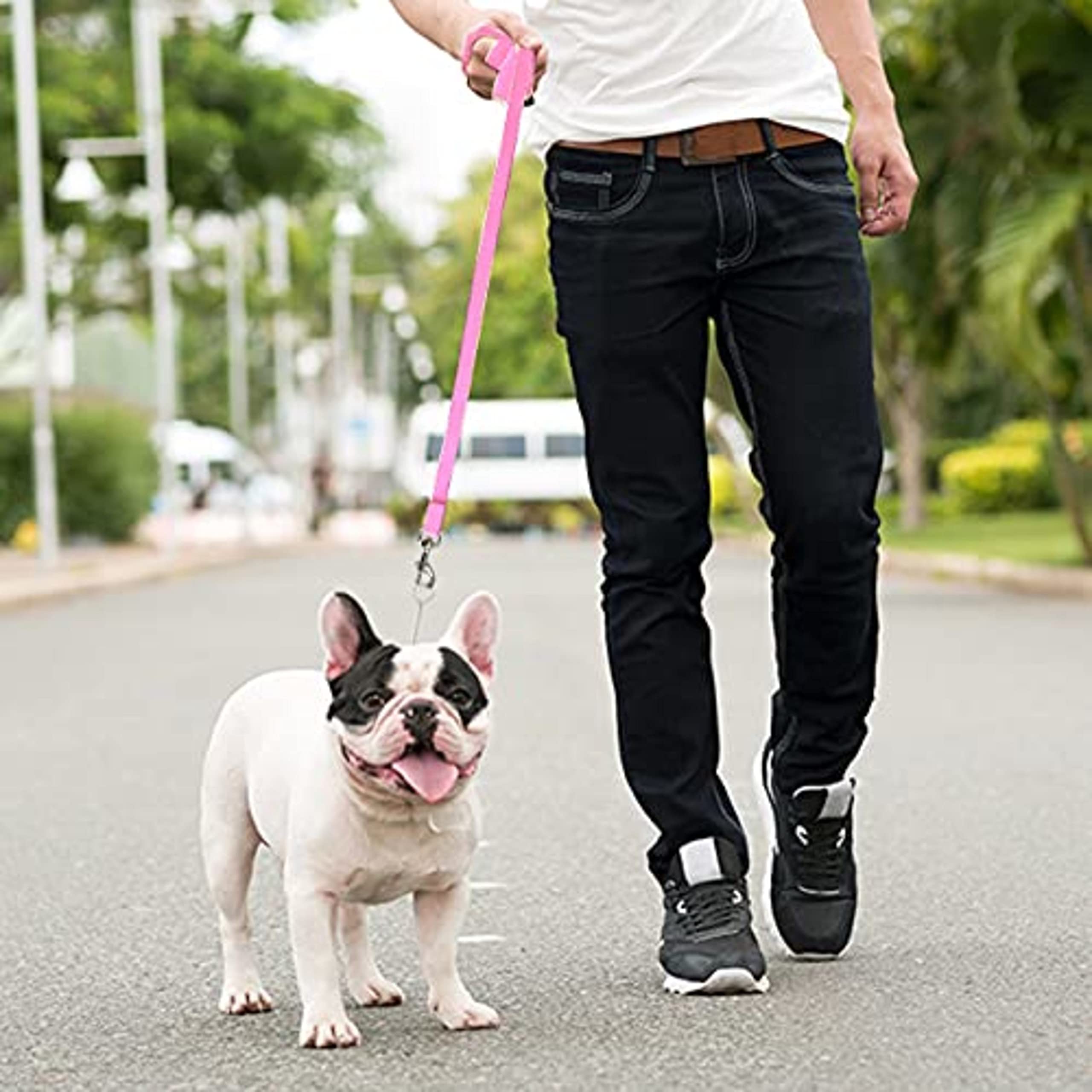 Downtown Pet Supply - Long Dog Leash - 15 ft Pink Nylon Dog Training Leash for Recall & Obedience