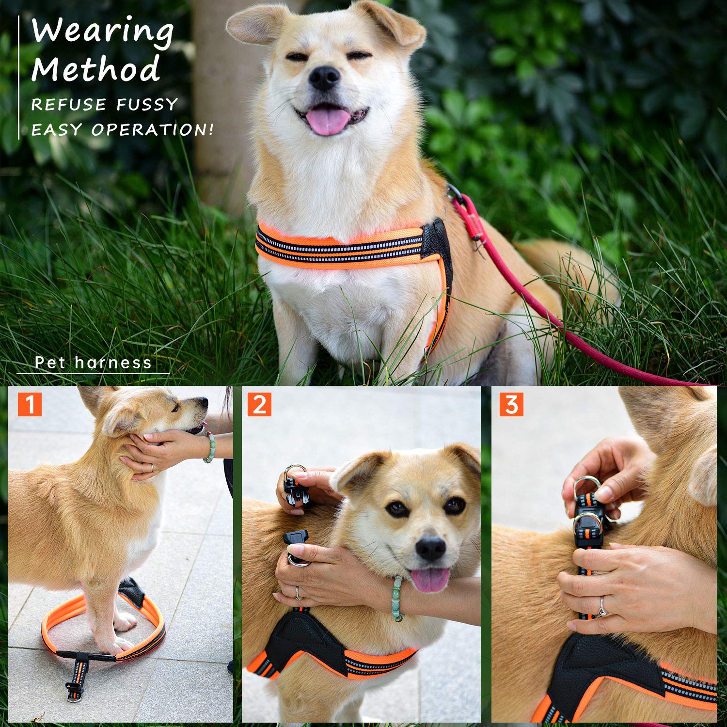 Dog Harness No Pull Ultra Soft Breathable Padded Pet Harness 2 Adjustable Botton, 3M Reflective Pet Harness For Dogs Easy Control For Small Medium Large Dogs (M, Bright Orange)