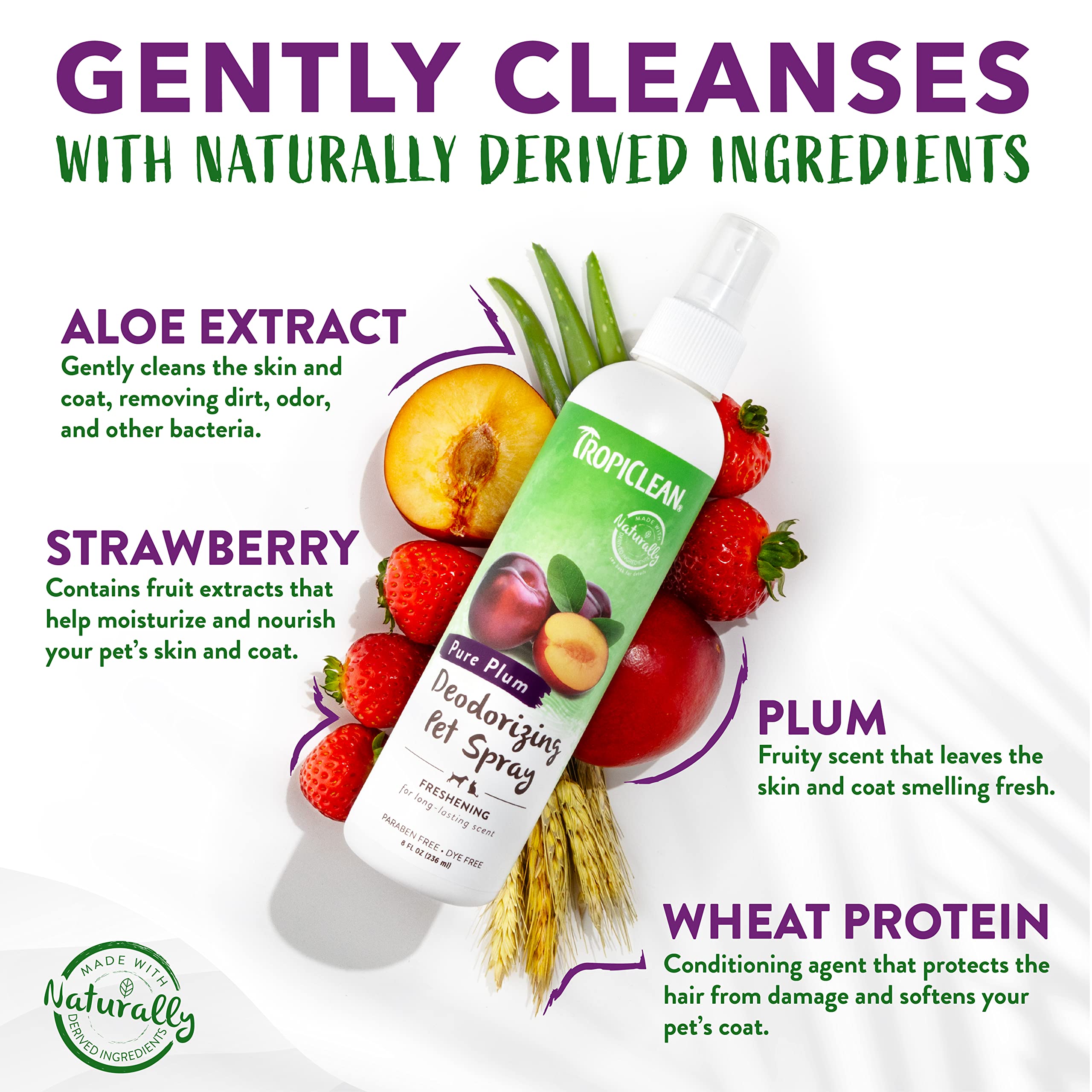 Tropiclean Dog Perfume, Long Lasting Plum Cologne, Deodorizing Spray For Smelly Dogs, After Bath Detangling Spray With Vitamin E