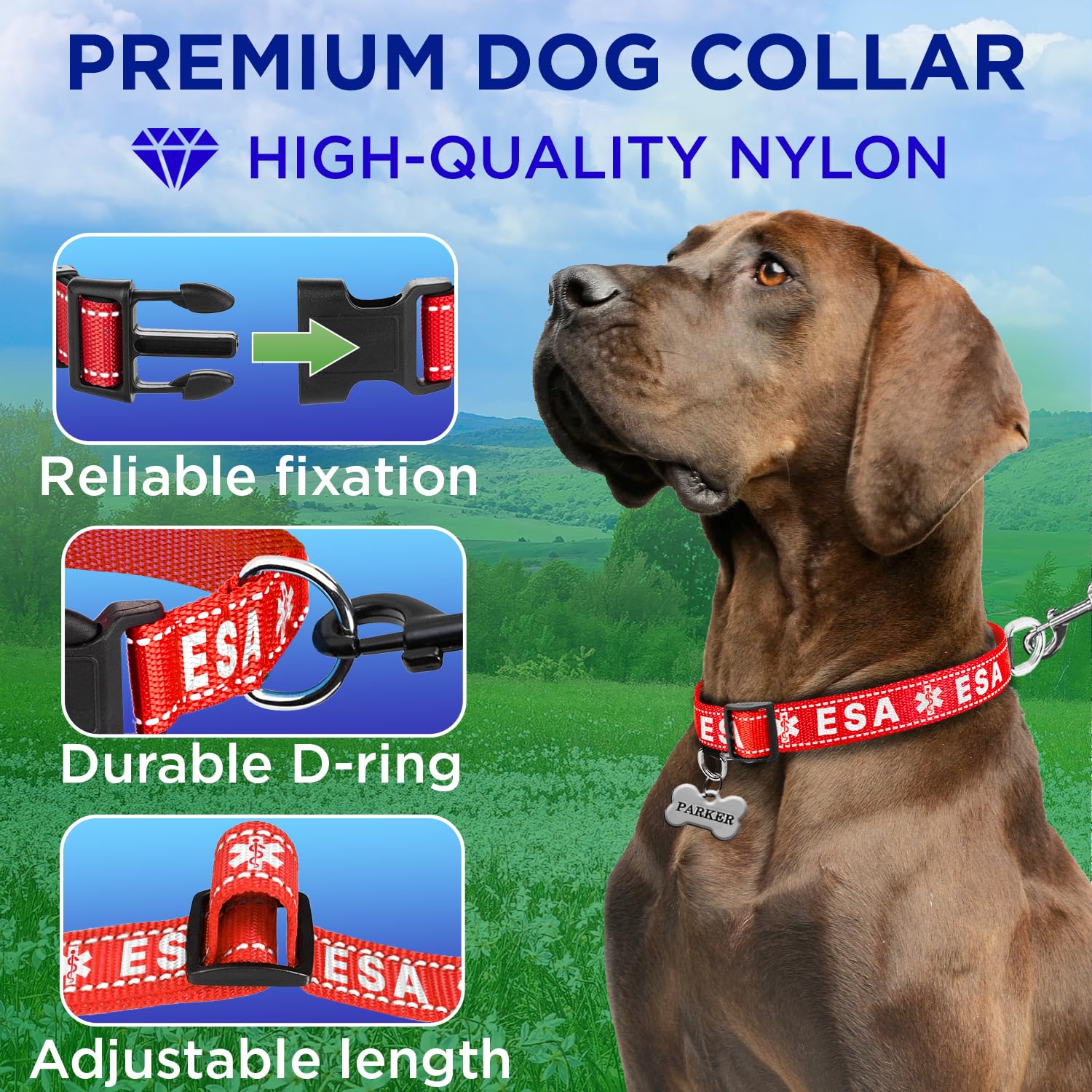 Teceum Reflective Pet Collar - Red - Esa - Xl - Basic Nylon Dog Collar - Quick Release Buckle - Fits Small, Medium And Large Dog