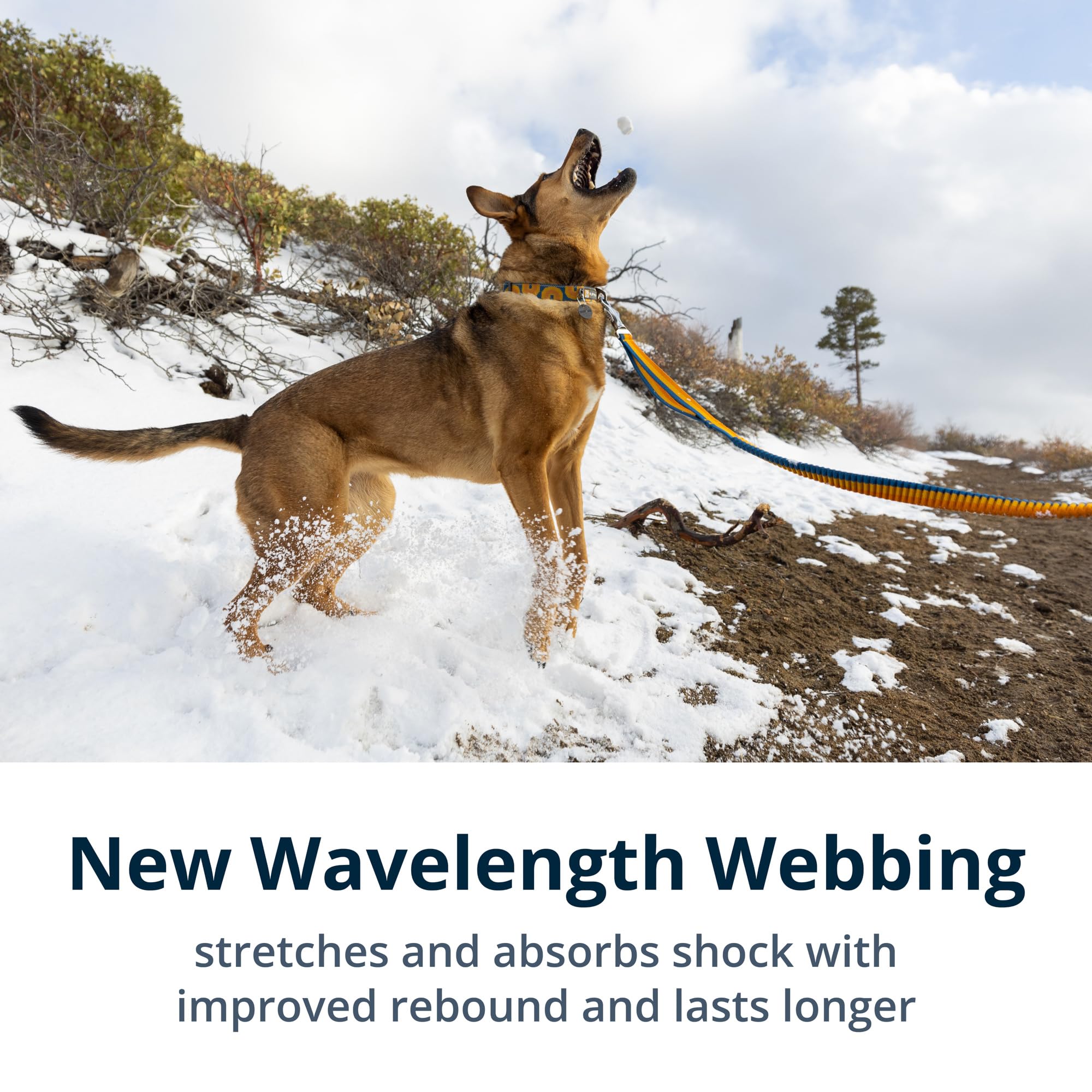 Ruffwear, Roamer Bungee Dog Leash For Running, Biking Or Hiking, Can Be Used Hand-Held Or Hands-Free, Yellow Snow, 7.3'-11'