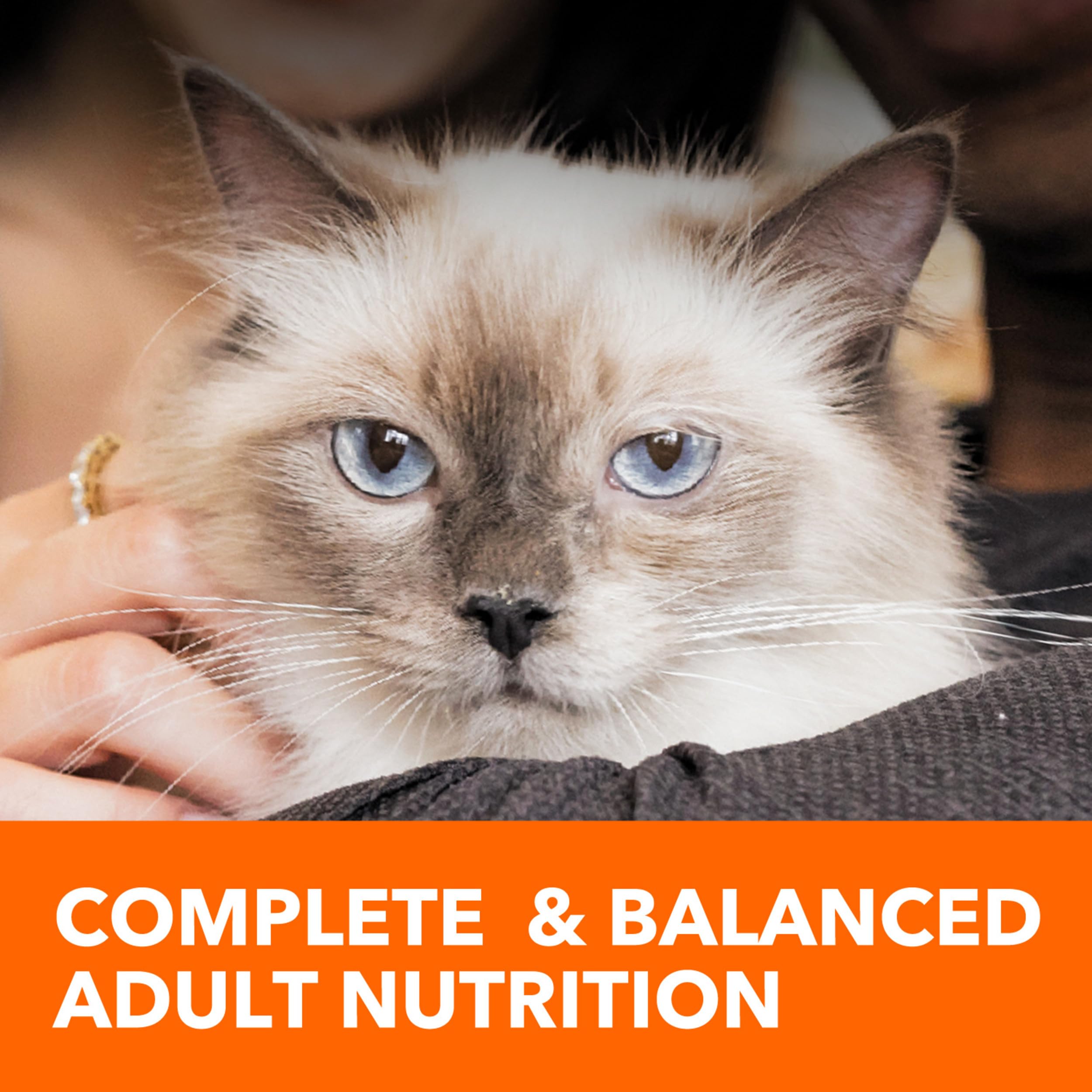 IAMS Proactive Health Adult Hairball Care Dry Cat Food with Chicken and Salmon, 7 lb. Bag (Pack of 1)