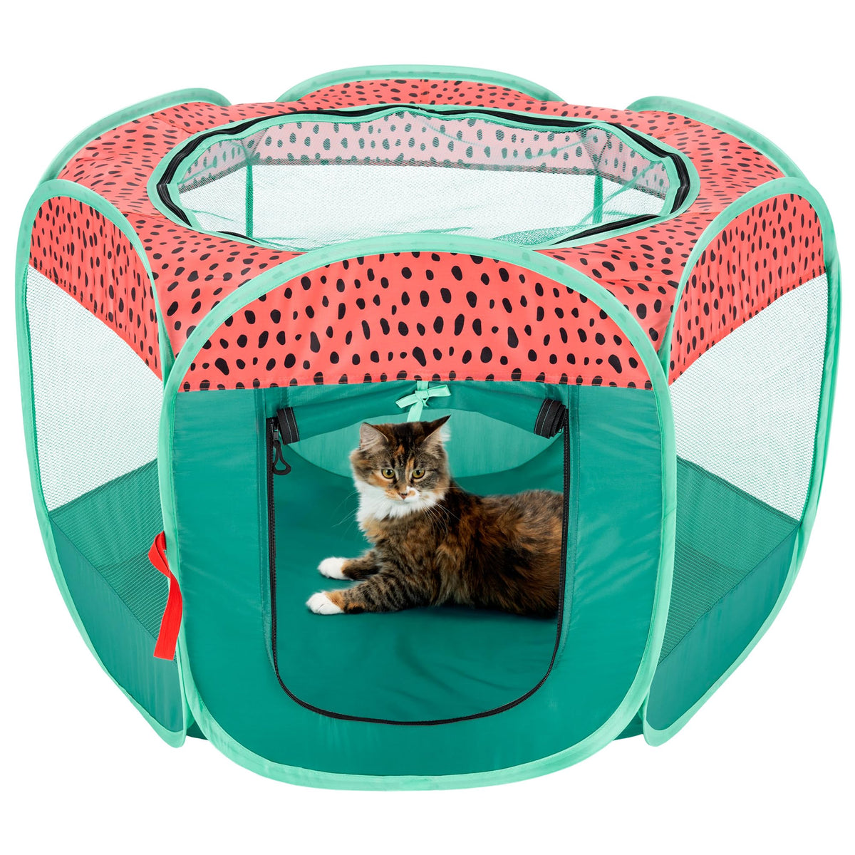 Furhaven Portable Dog Playpen Cat Tent, Pet Playground/Kennel Foldable Indoor Outdoor Zippered Puppy Crate - Green & Pink, Small