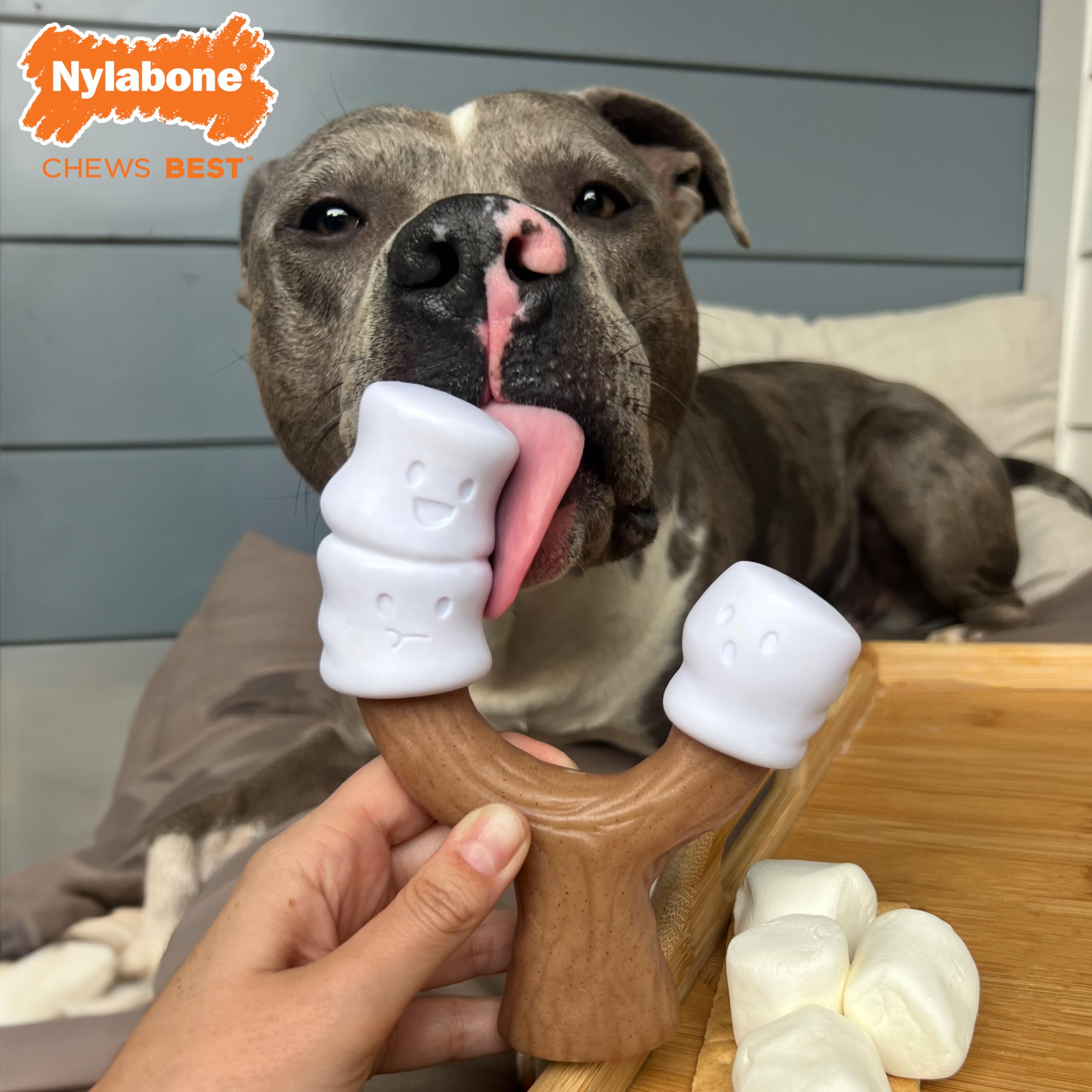 Nylabone Marshmallow Stick Strong Chew Toy For Dogs, Dog Toys For Moderate & Aggressive Chewers, Marshmallow & Peanut Butter Flavor, Large - Up To 50 Lbs, 1 Count