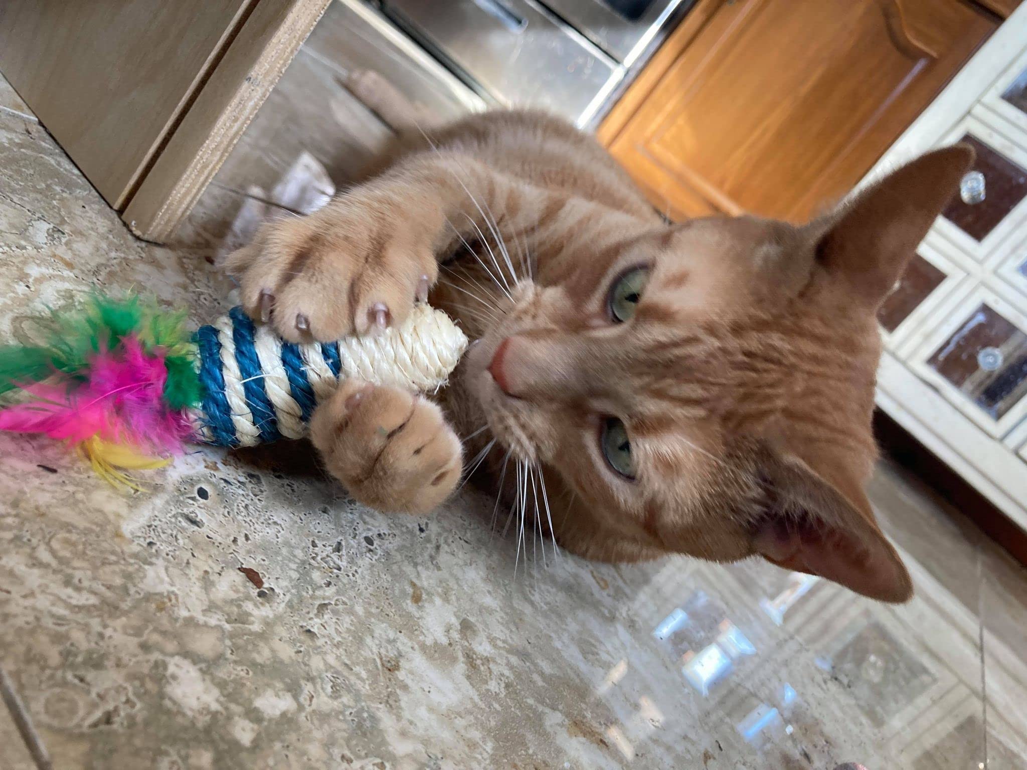 Smokey'S Stash Catnip Filled Cat Toys With Sisal Mouse And Ball