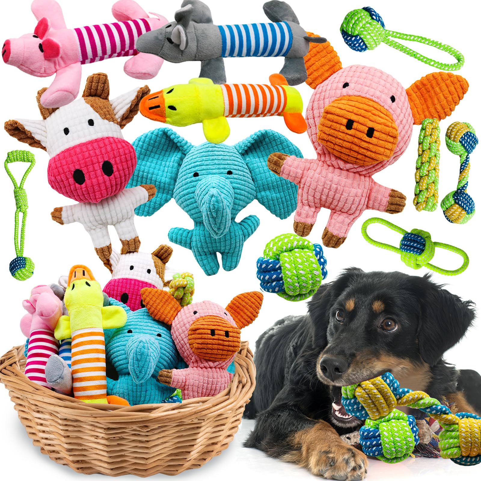 Mruq pet 12 Pack Dog Squeaky Toys: Cute Interactive Plush Chew Toys with Rope, Puppy Teething Toys Bundle for Small Medium Dogs 