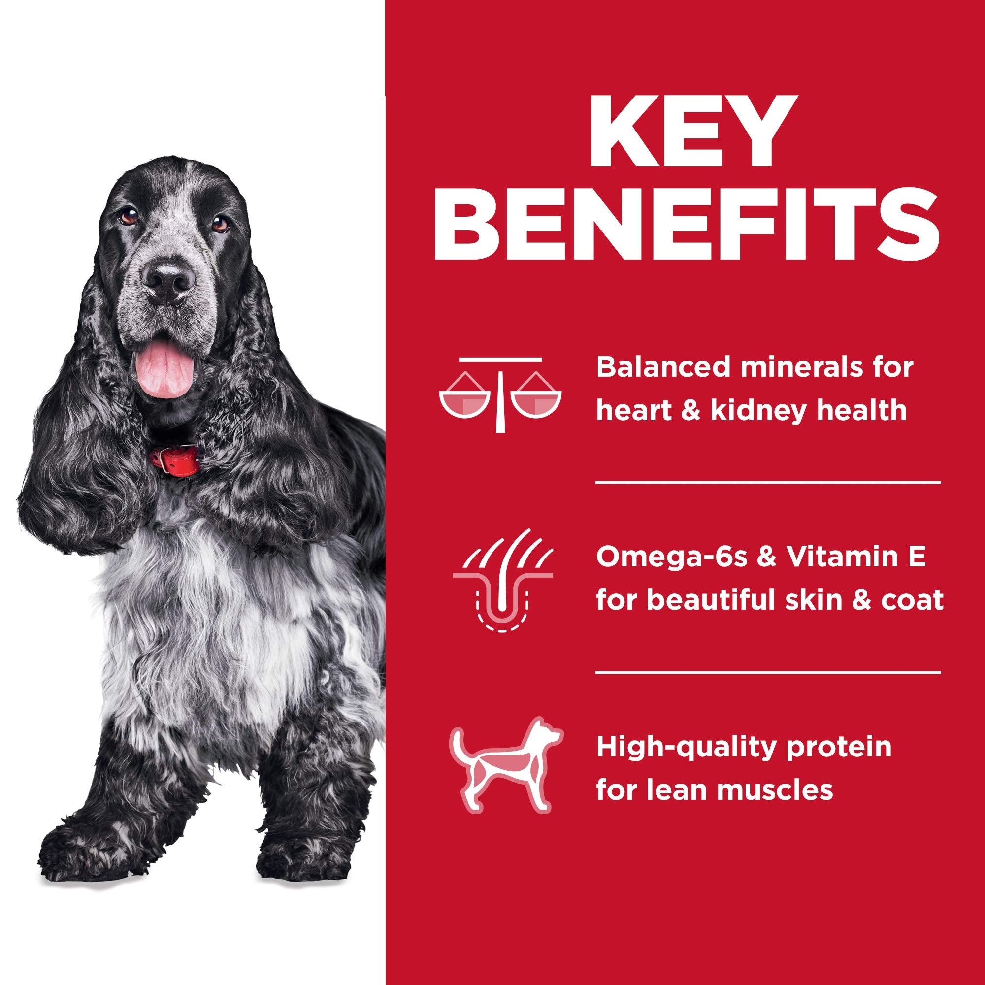 Hills Science Diet Adult 7+, Senior Adult 7+ Premium Nutrition, Dry Dog Food, No Corn, Wheat, Soy Chicken & Brown Rice, 30 lb B