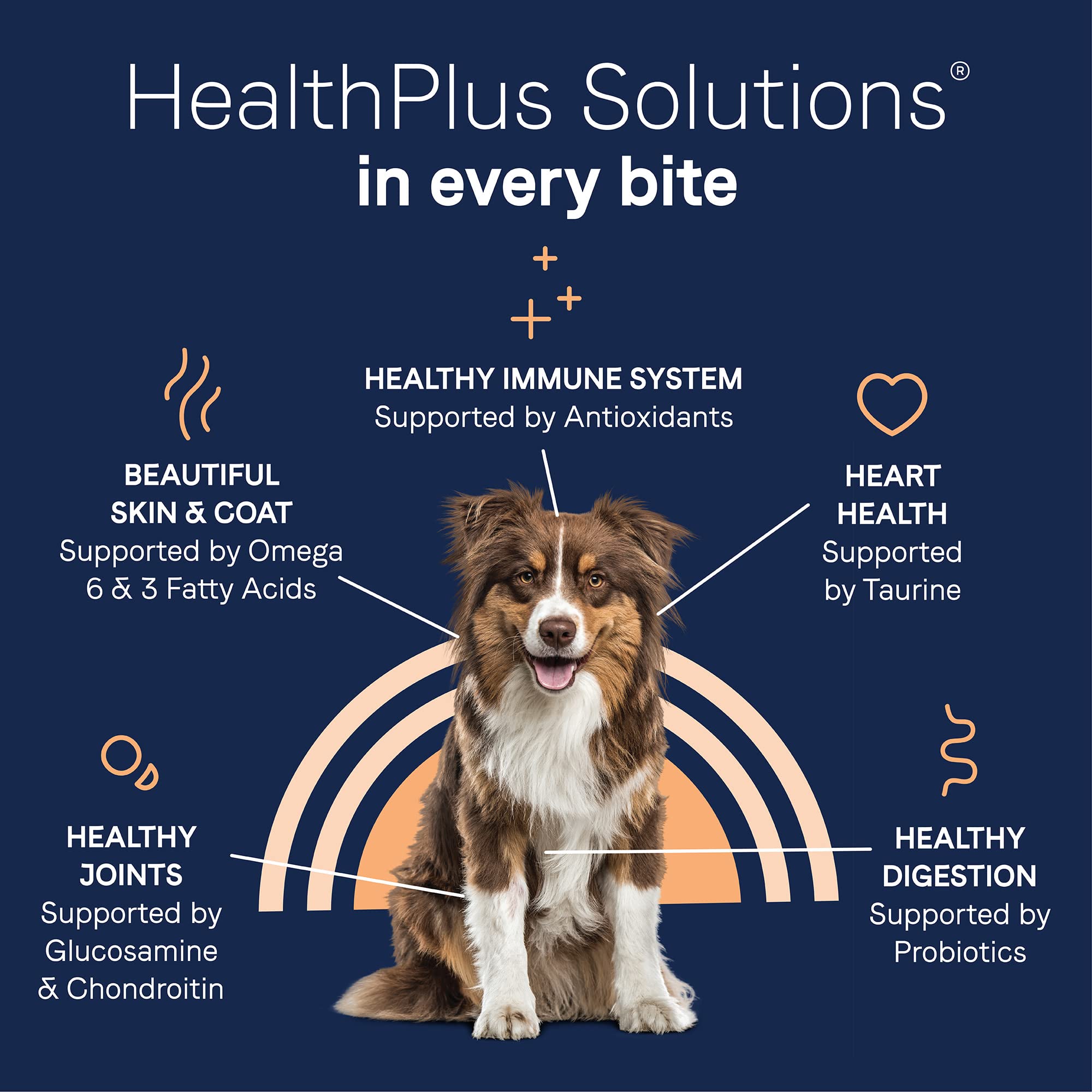 CANIDAE Pure Limited Ingredient Premium Adult Dry Dog Food, Real Salmon & Barley Recipe, 22 lbs, with Wholesome Grains